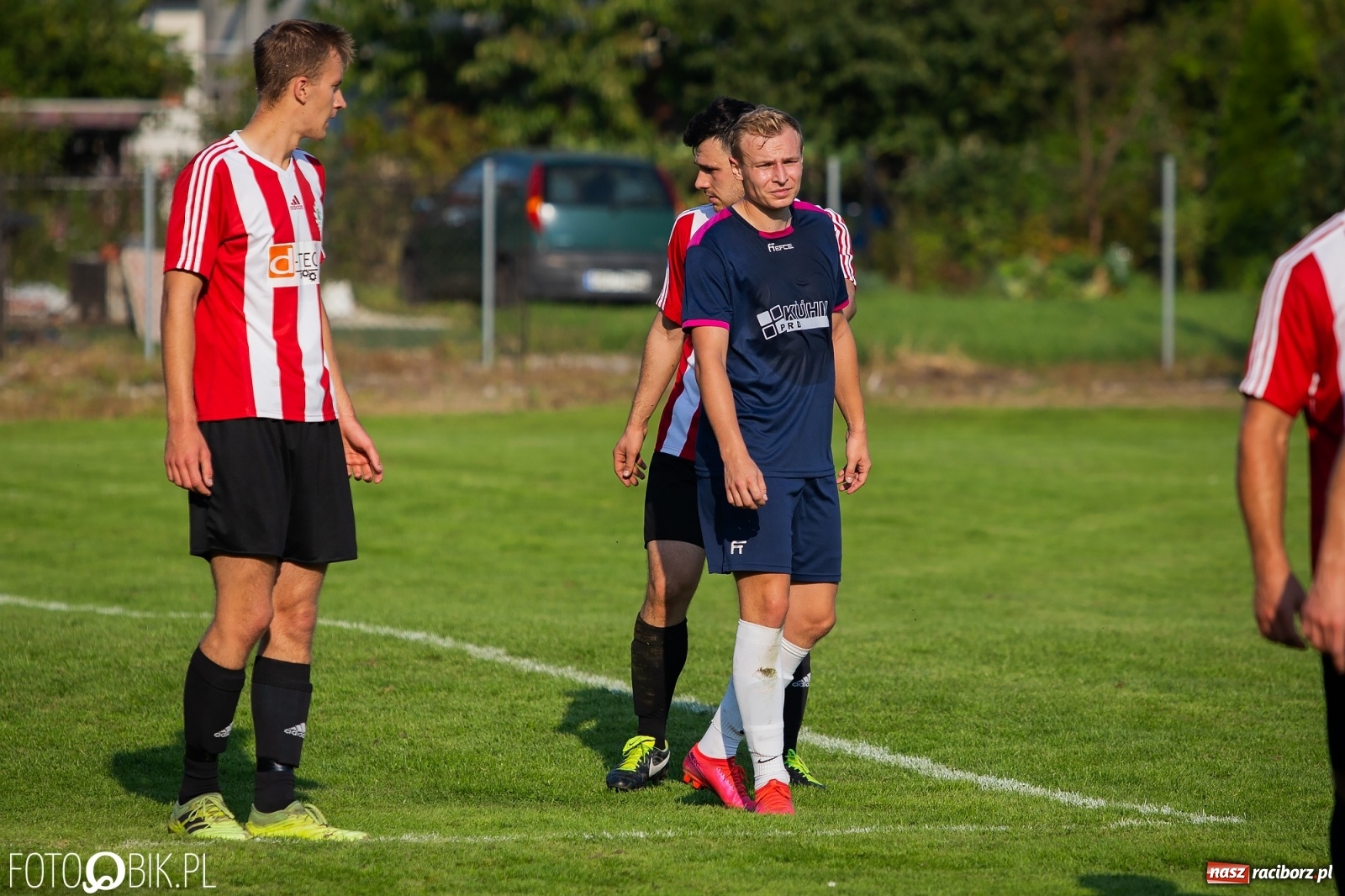 Zdjęcie w galerii na portalu naszraciborz.pl: Gaszowicki Dąb ścięty w Krzyżanowicach [FOTO] wiadomości z regionu
