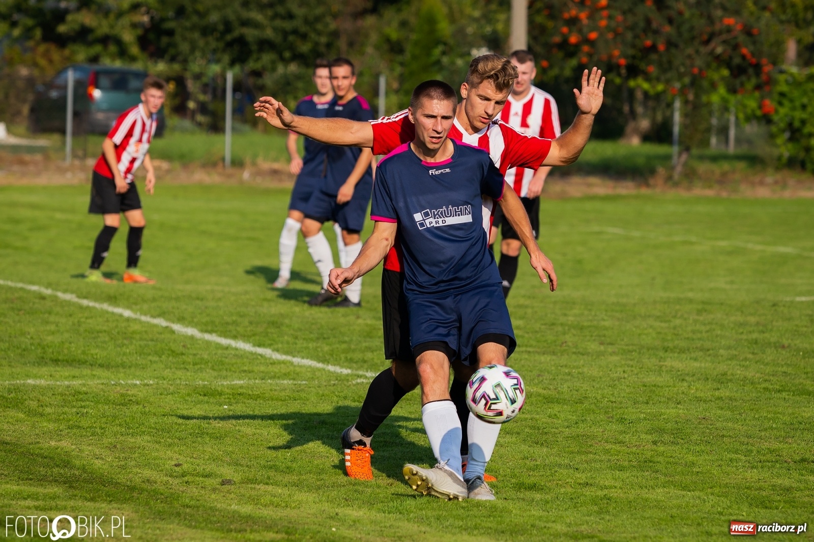 Zdjęcie w galerii na portalu naszraciborz.pl: Gaszowicki Dąb ścięty w Krzyżanowicach [FOTO] wiadomości z regionu