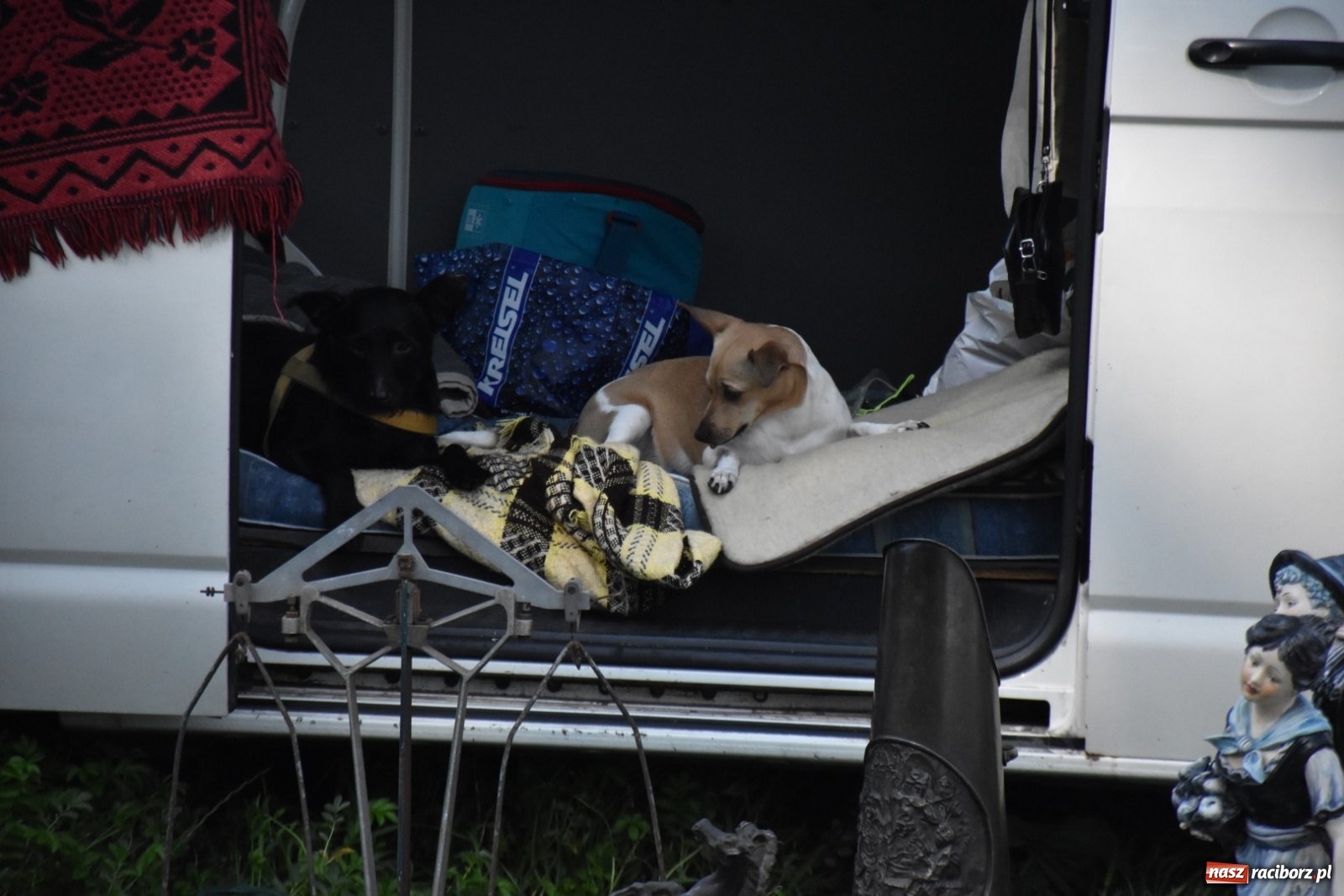 Zdjęcie w galerii na portalu naszraciborz.pl: Ruszył Jarmark na Granicy w Chałupkach  wiadomości z regionu