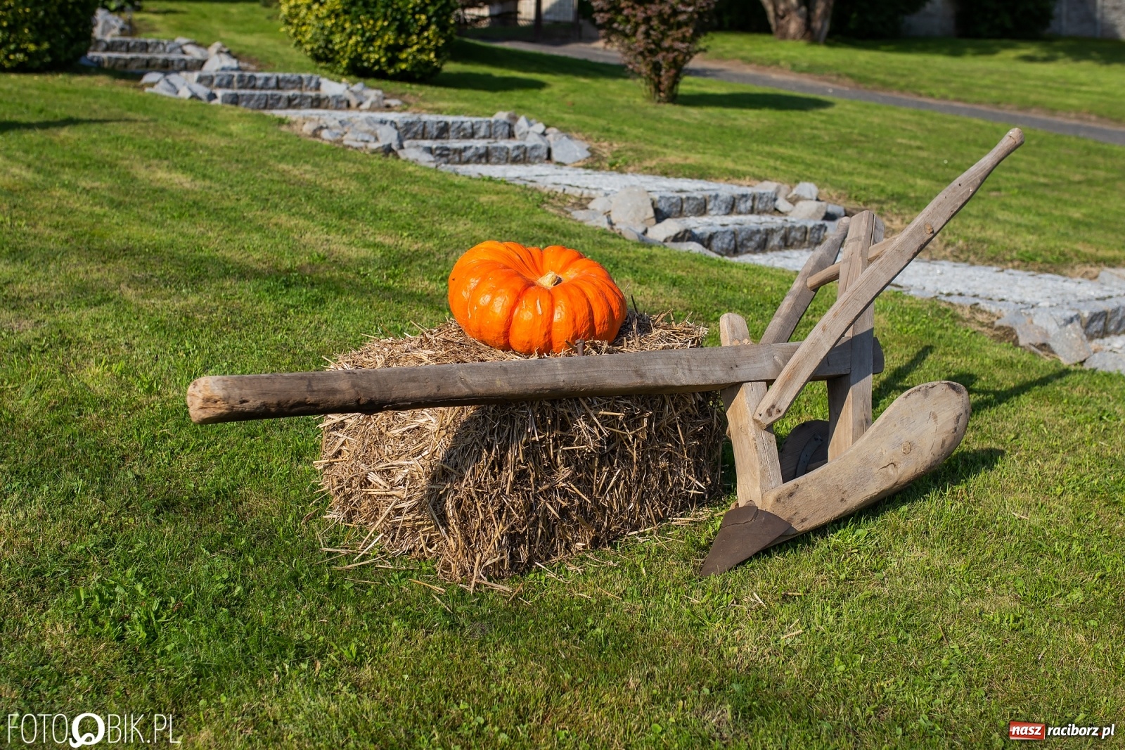 Zdjęcie w galerii na portalu naszraciborz.pl: Dożynki w parafii Łubowice. Korowód wyruszył z Ligoty Książęcej wiadomości z regionu