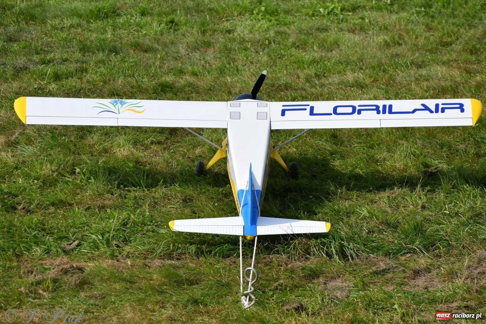 Zdjęcie w galerii na portalu naszraciborz.pl: Raciborskie air show przyciągnęło tłumy  wiadomości z regionu