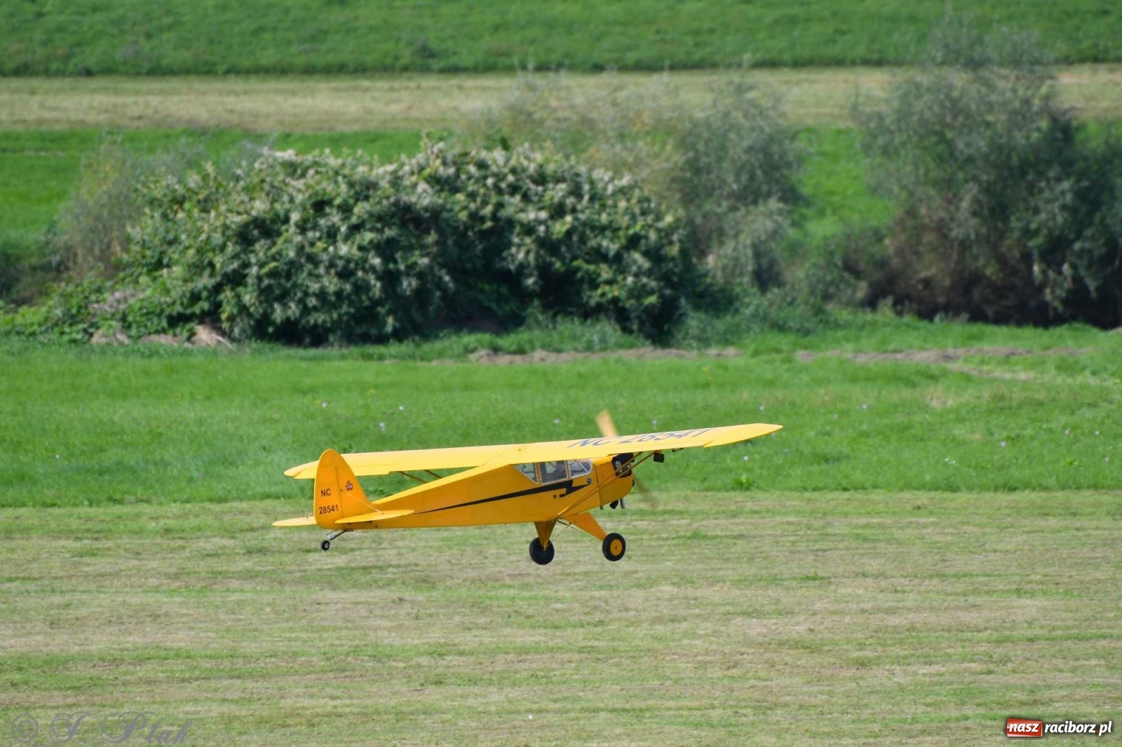 Zdjęcie w galerii na portalu naszraciborz.pl: Raciborskie air show przyciągnęło tłumy  wiadomości z regionu