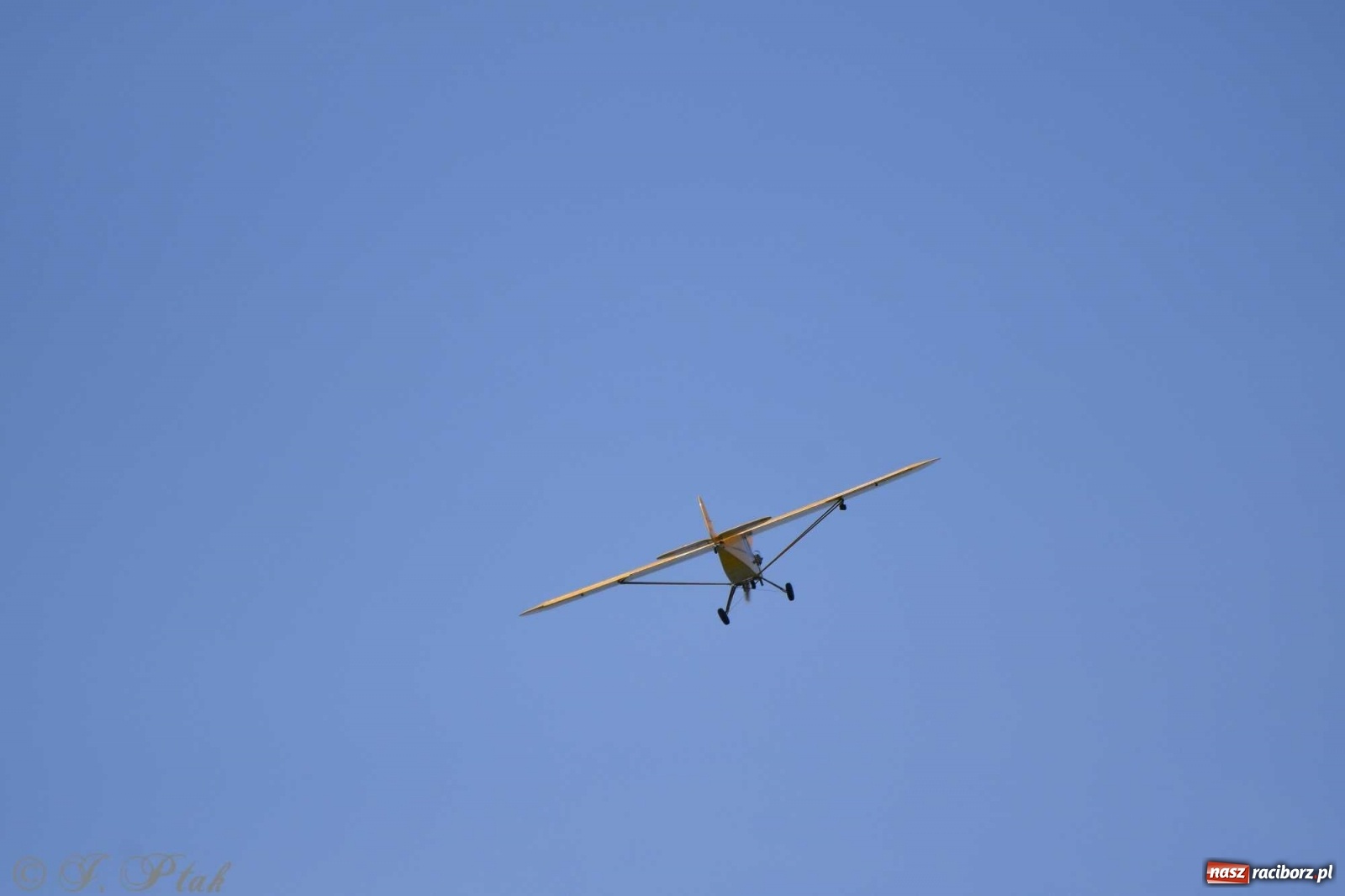 Zdjęcie w galerii na portalu naszraciborz.pl: Raciborskie air show przyciągnęło tłumy  wiadomości z regionu