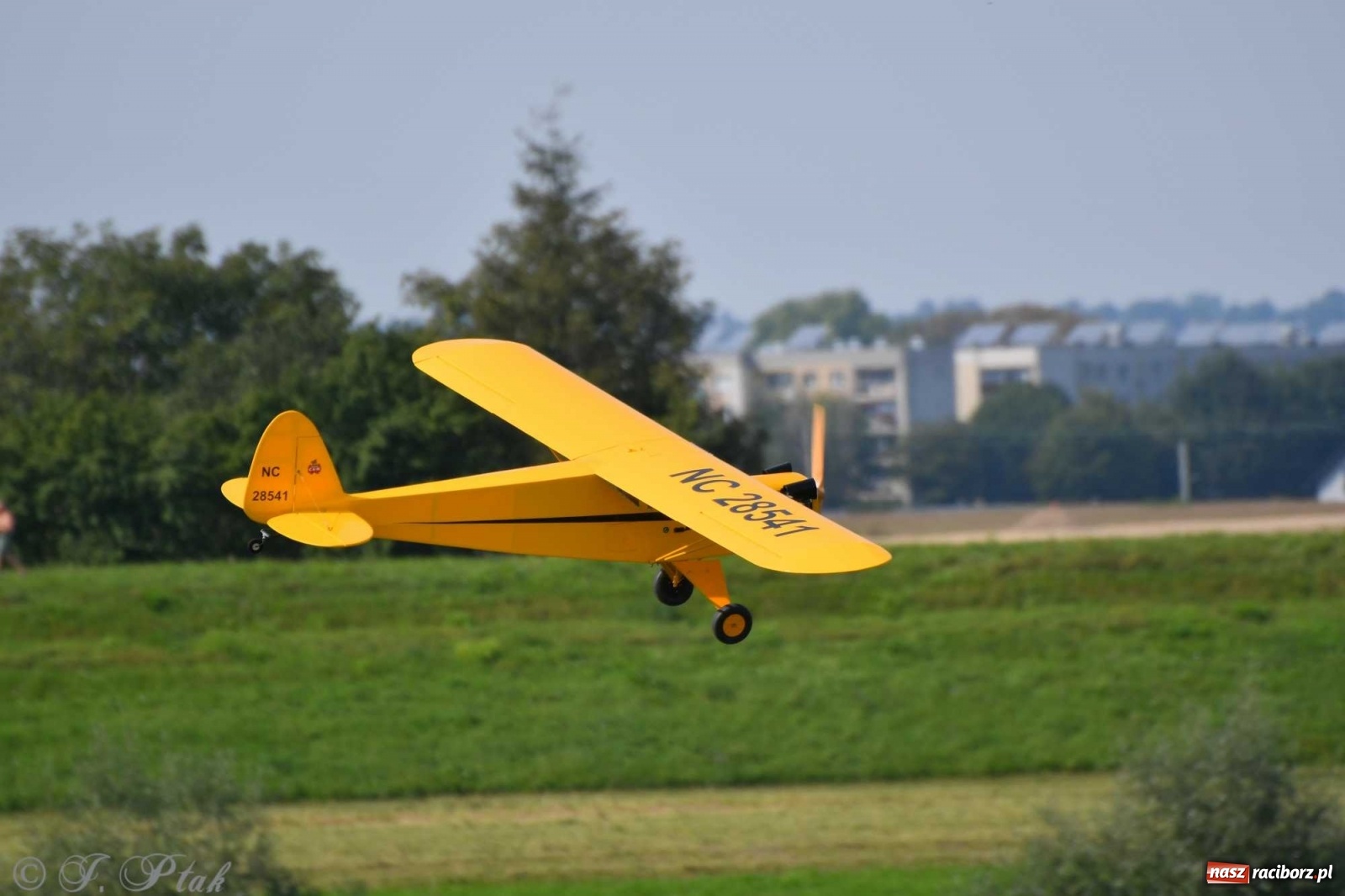 Zdjęcie w galerii na portalu naszraciborz.pl: Raciborskie air show przyciągnęło tłumy  wiadomości z regionu
