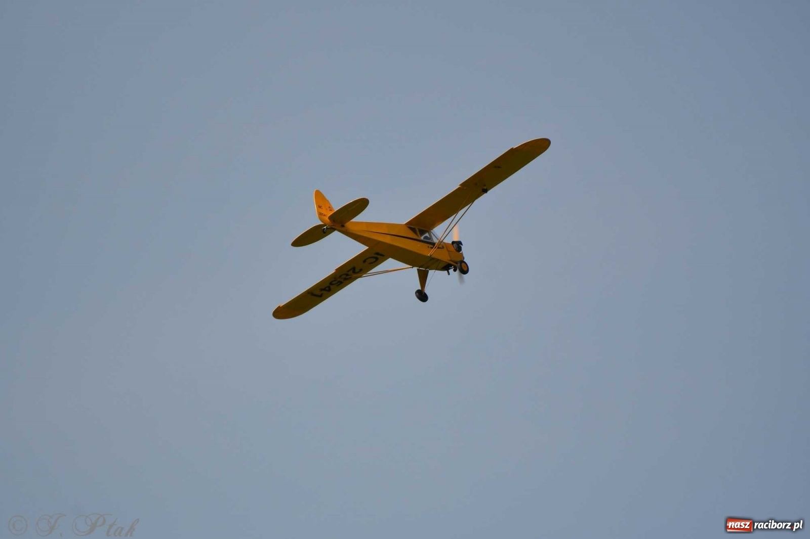 Zdjęcie w galerii na portalu naszraciborz.pl: Raciborskie air show przyciągnęło tłumy  wiadomości z regionu