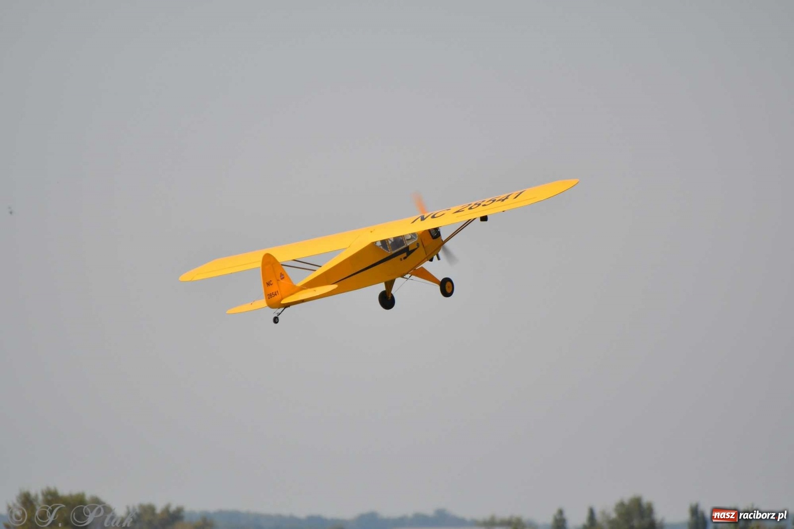 Zdjęcie w galerii na portalu naszraciborz.pl: Raciborskie air show przyciągnęło tłumy  wiadomości z regionu