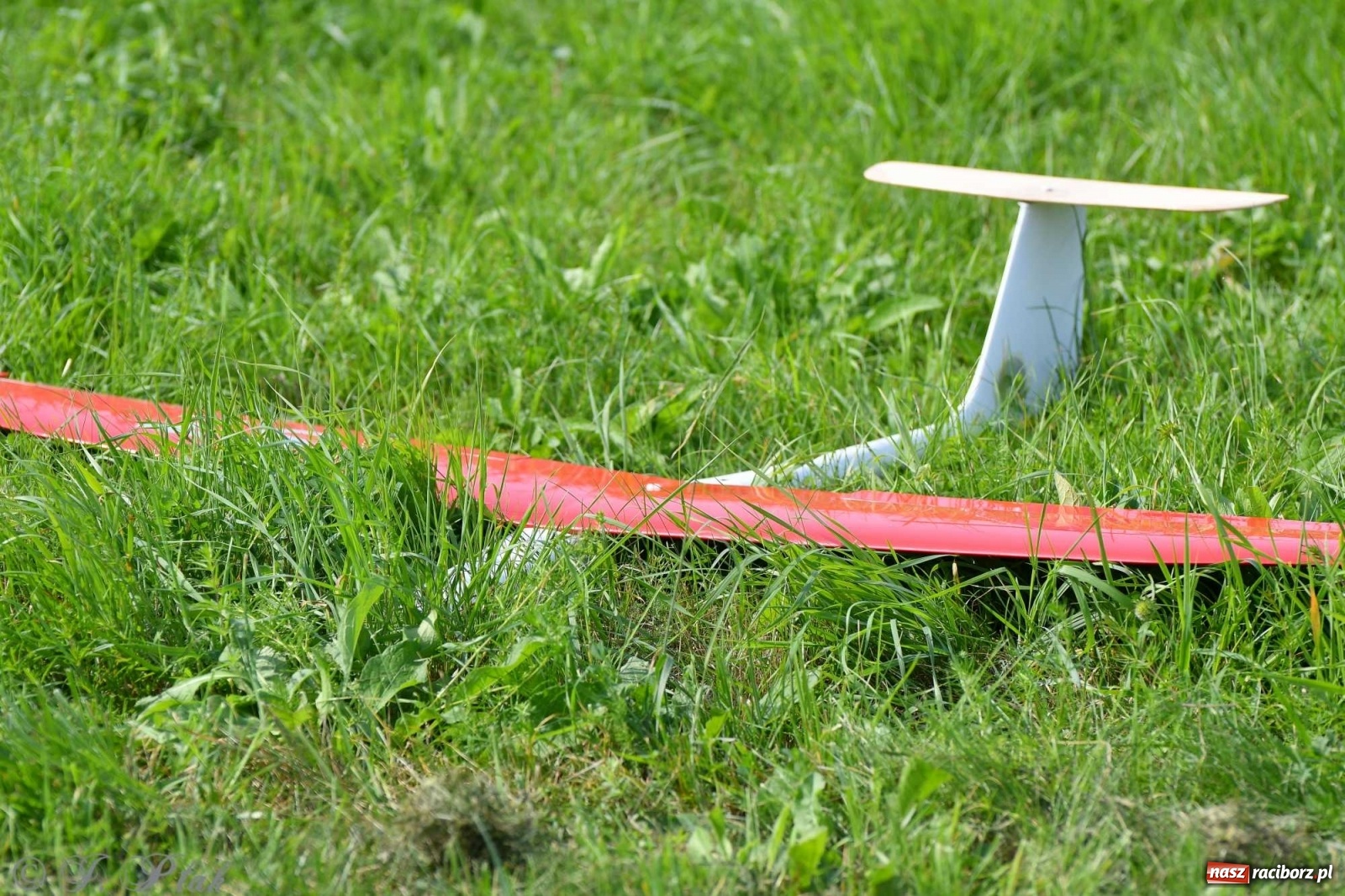 Zdjęcie w galerii na portalu naszraciborz.pl: Raciborskie air show przyciągnęło tłumy  wiadomości z regionu