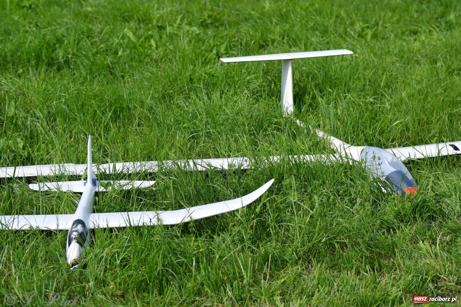 Zdjęcie w galerii na portalu naszraciborz.pl: Raciborskie air show przyciągnęło tłumy  wiadomości z regionu