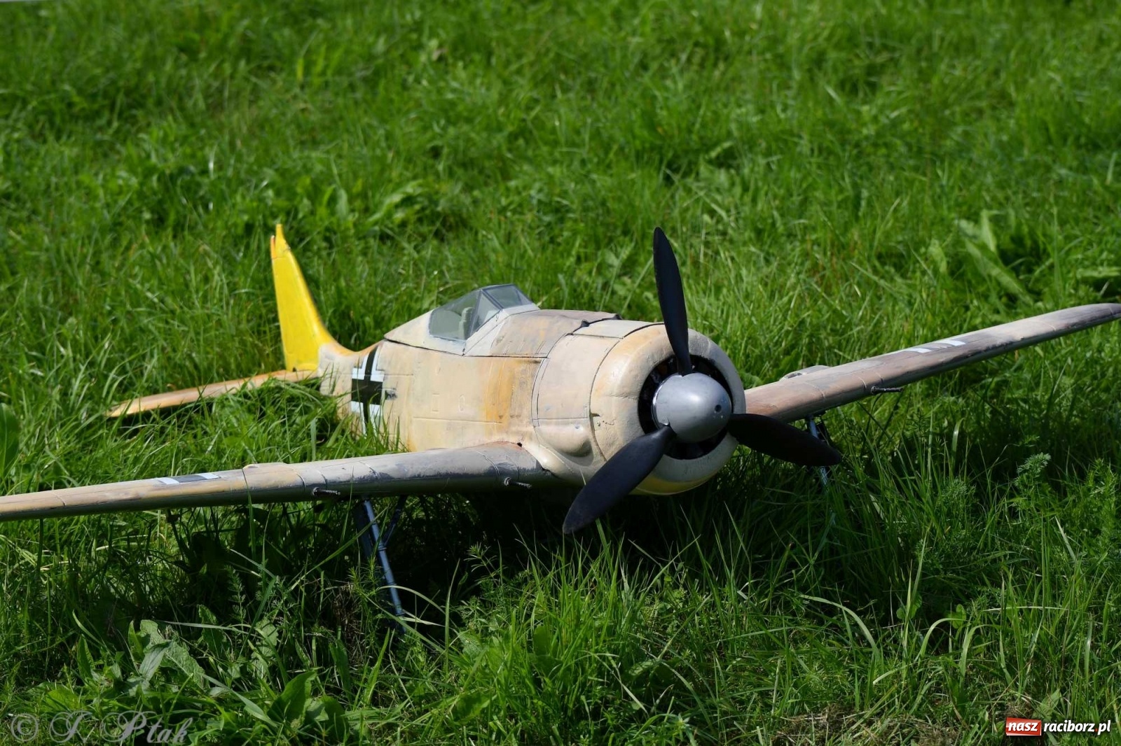 Zdjęcie w galerii na portalu naszraciborz.pl: Raciborskie air show przyciągnęło tłumy  wiadomości z regionu