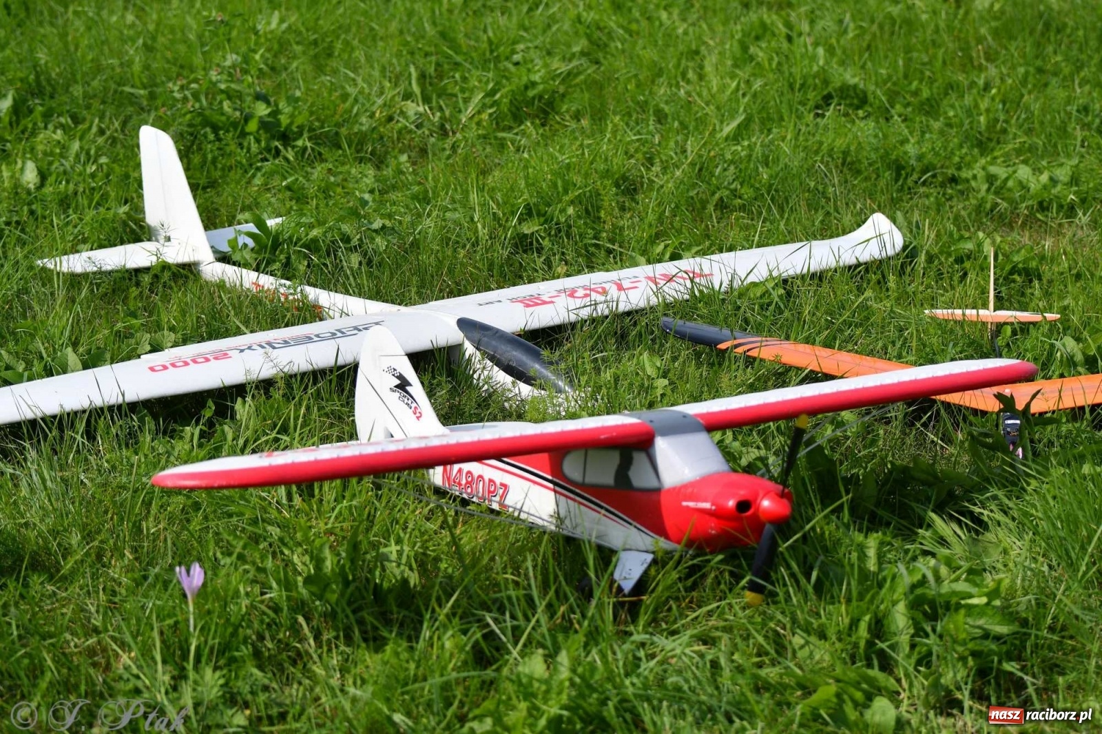 Zdjęcie w galerii na portalu naszraciborz.pl: Raciborskie air show przyciągnęło tłumy  wiadomości z regionu