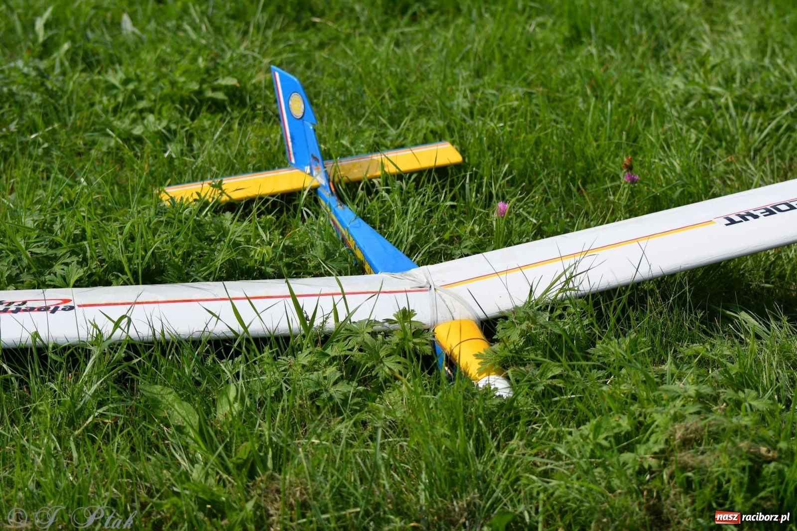 Zdjęcie w galerii na portalu naszraciborz.pl: Raciborskie air show przyciągnęło tłumy  wiadomości z regionu