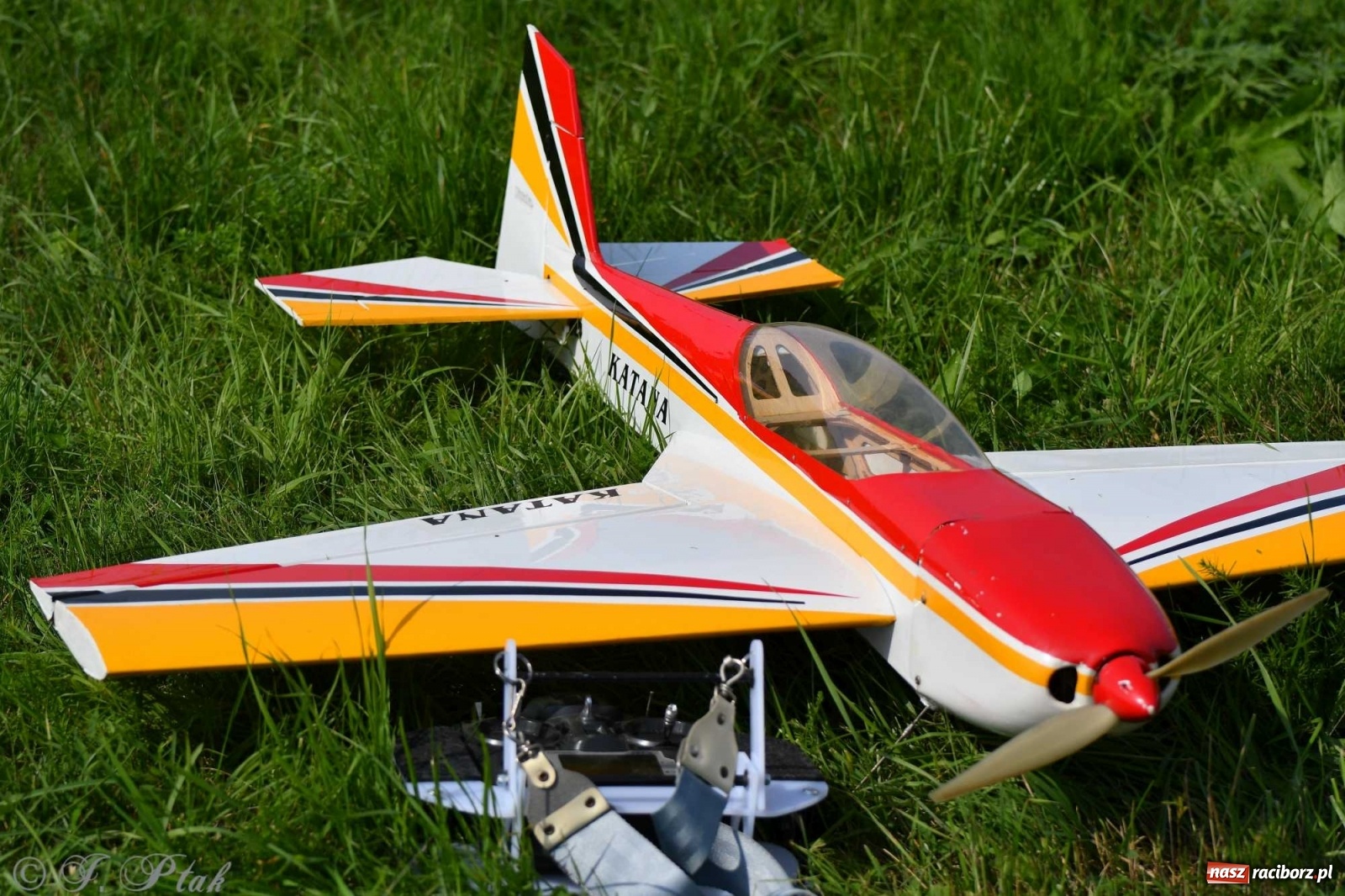 Zdjęcie w galerii na portalu naszraciborz.pl: Raciborskie air show przyciągnęło tłumy  wiadomości z regionu