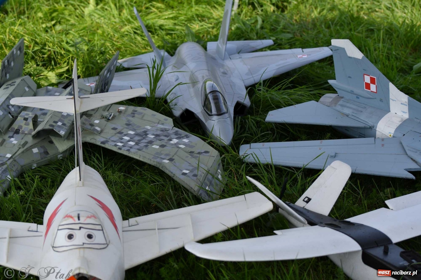 Zdjęcie w galerii na portalu naszraciborz.pl: Raciborskie air show przyciągnęło tłumy  wiadomości z regionu