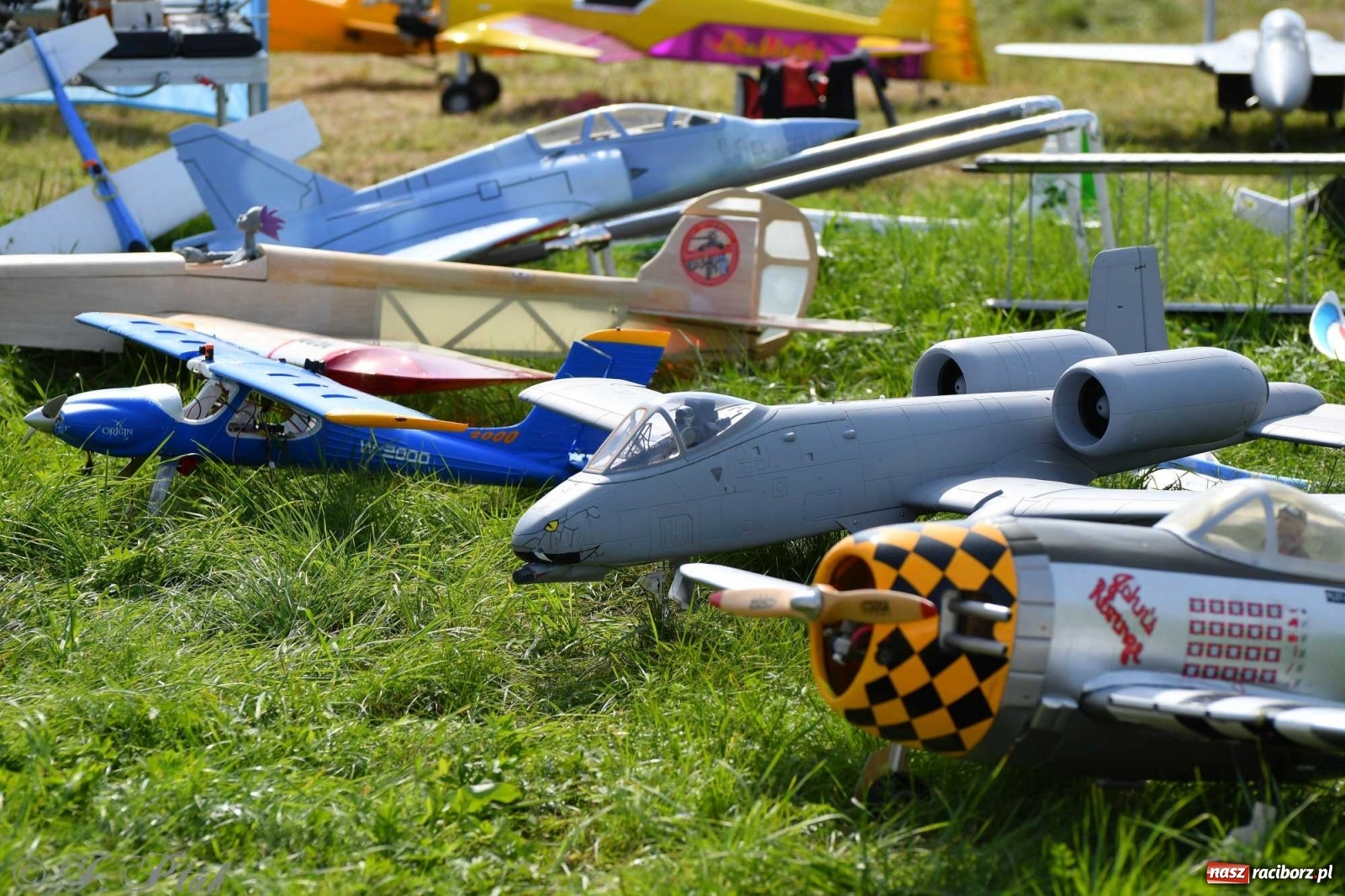 Zdjęcie w galerii na portalu naszraciborz.pl: Raciborskie air show przyciągnęło tłumy  wiadomości z regionu