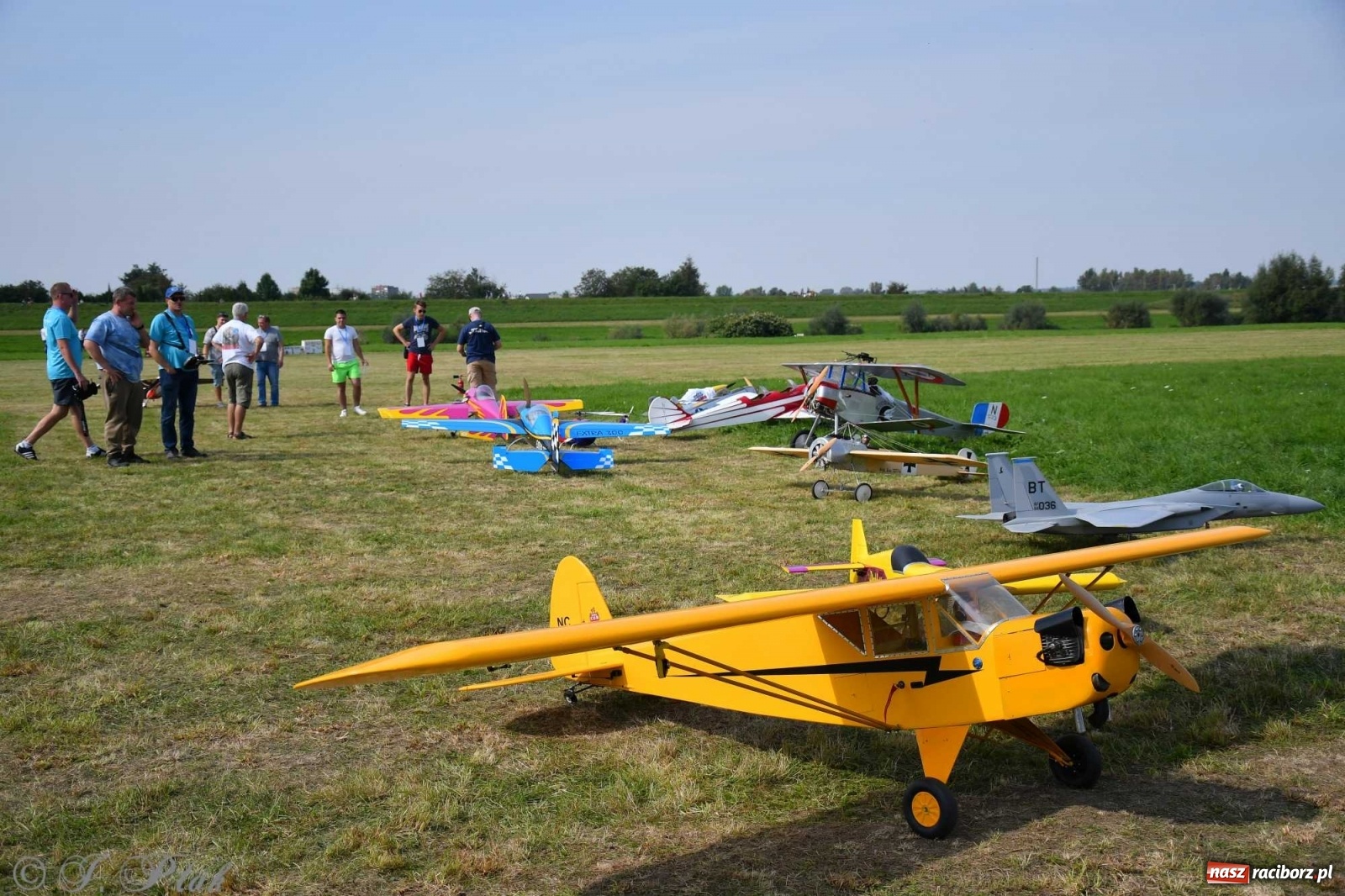 Zdjęcie w galerii na portalu naszraciborz.pl: Raciborskie air show przyciągnęło tłumy  wiadomości z regionu