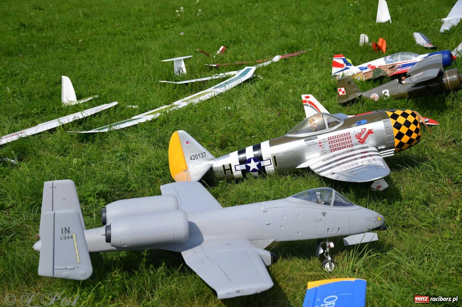 Zdjęcie w galerii na portalu naszraciborz.pl: Raciborskie air show przyciągnęło tłumy  wiadomości z regionu