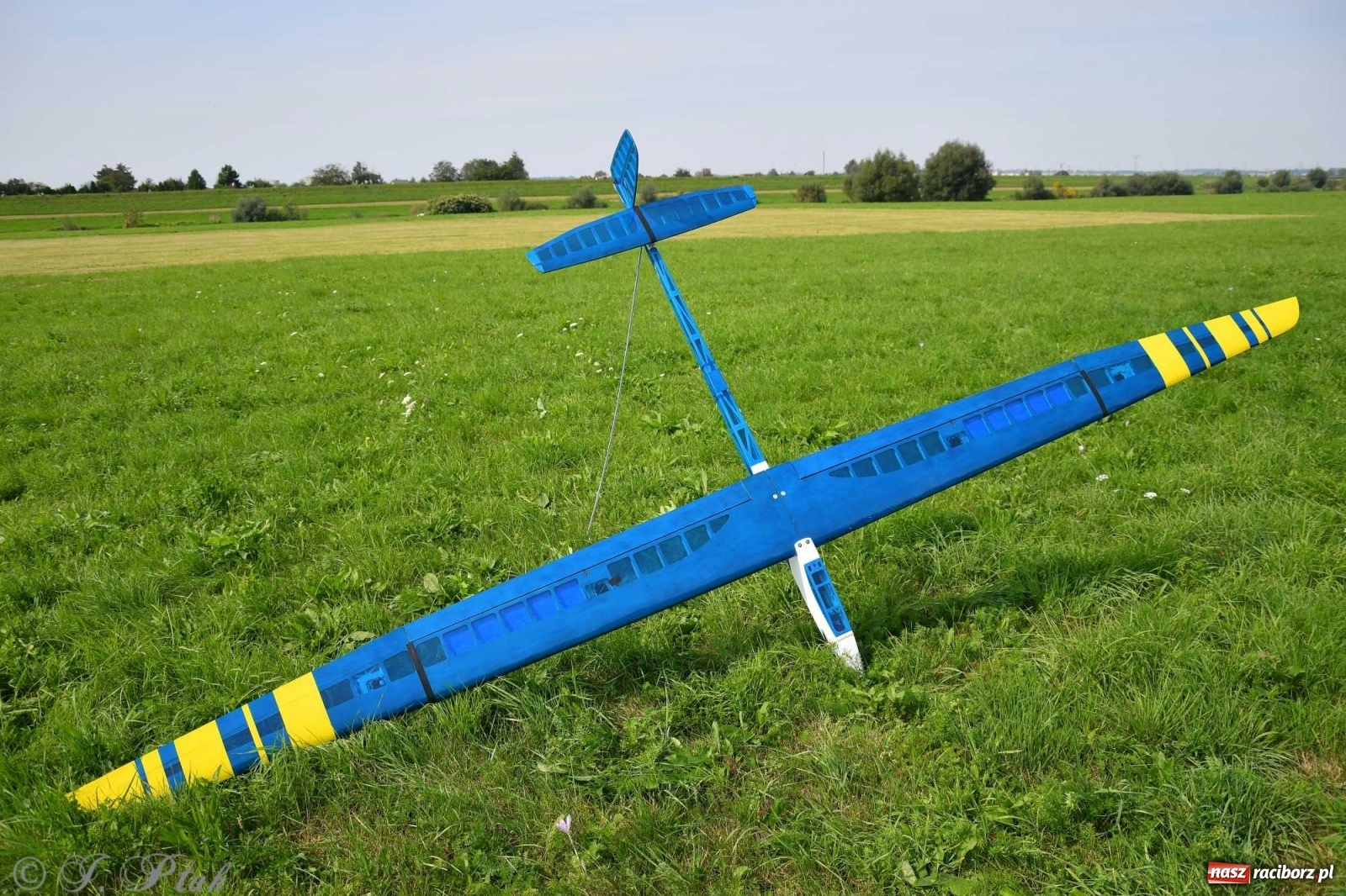 Zdjęcie w galerii na portalu naszraciborz.pl: Raciborskie air show przyciągnęło tłumy  wiadomości z regionu