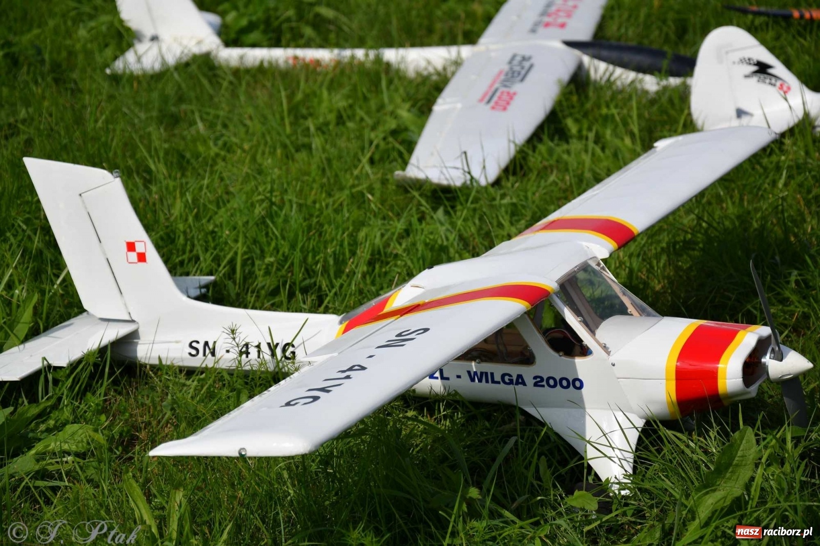 Zdjęcie w galerii na portalu naszraciborz.pl: Raciborskie air show przyciągnęło tłumy  wiadomości z regionu