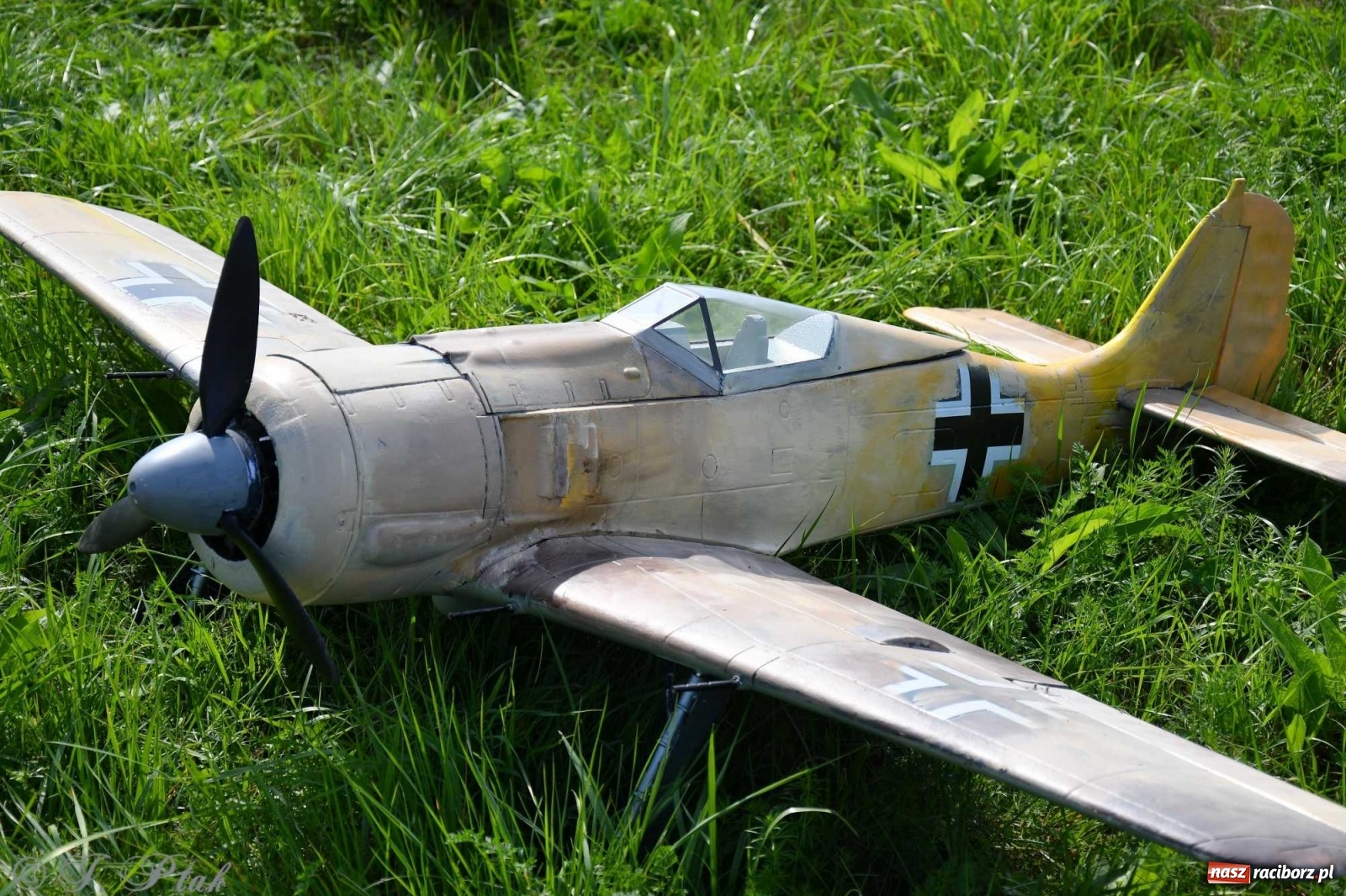 Zdjęcie w galerii na portalu naszraciborz.pl: Raciborskie air show przyciągnęło tłumy  wiadomości z regionu