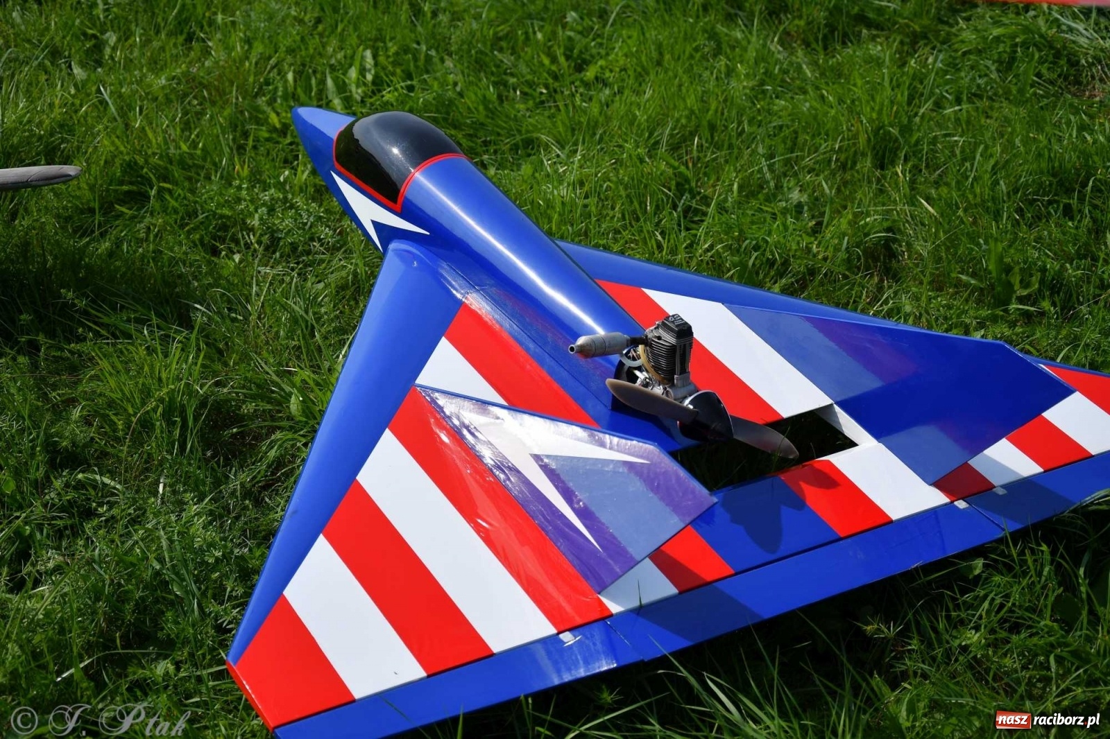 Zdjęcie w galerii na portalu naszraciborz.pl: Raciborskie air show przyciągnęło tłumy  wiadomości z regionu