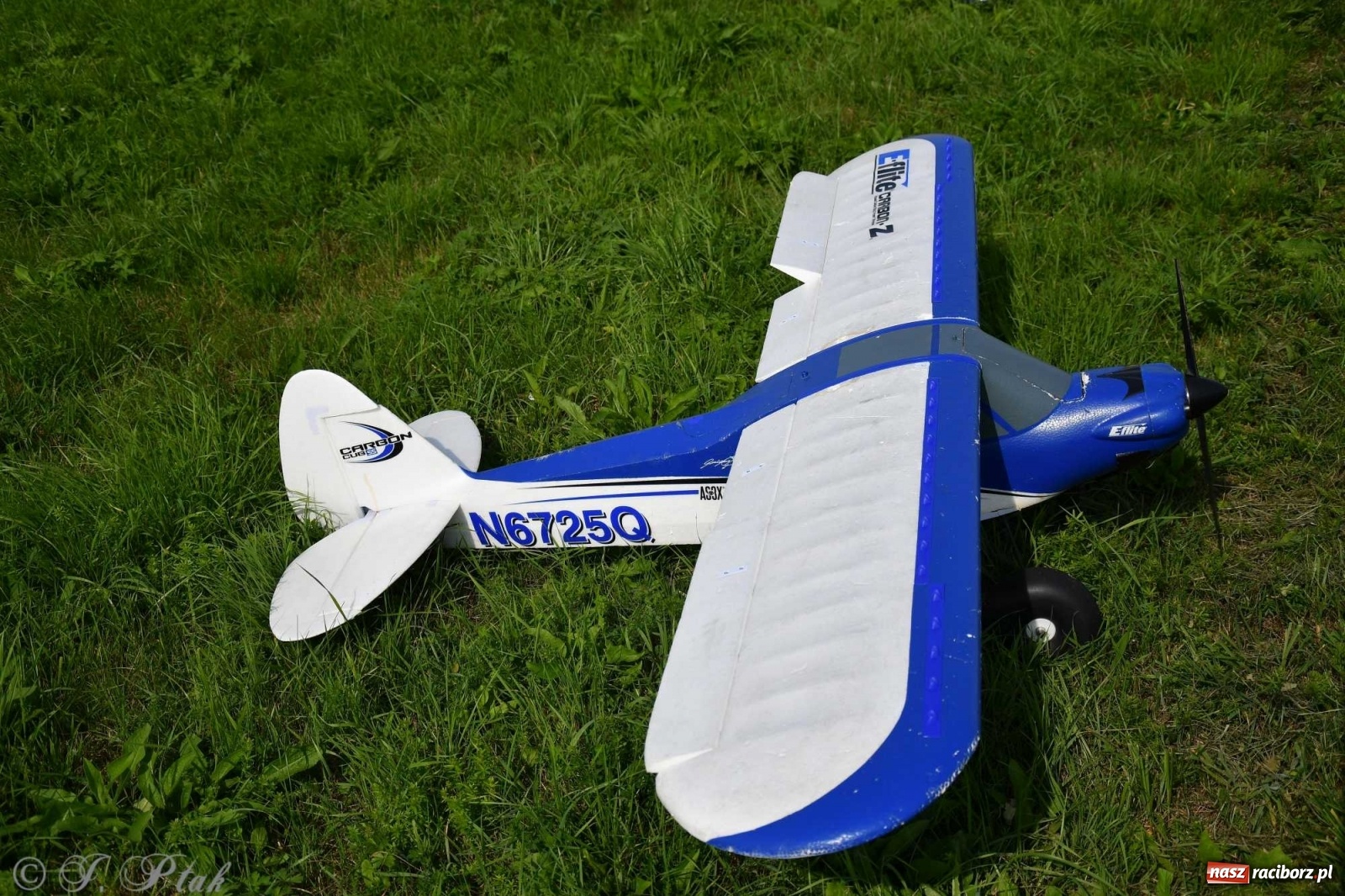 Zdjęcie w galerii na portalu naszraciborz.pl: Raciborskie air show przyciągnęło tłumy  wiadomości z regionu