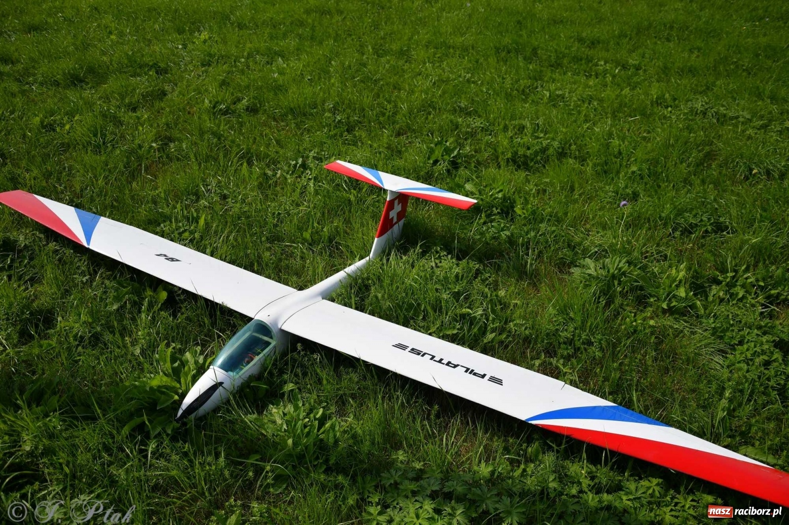 Zdjęcie w galerii na portalu naszraciborz.pl: Raciborskie air show przyciągnęło tłumy  wiadomości z regionu