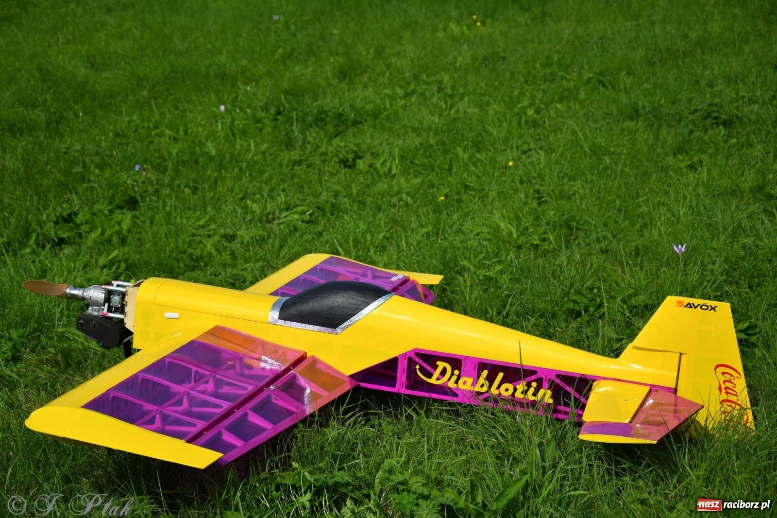 Zdjęcie w galerii na portalu naszraciborz.pl: Raciborskie air show przyciągnęło tłumy  wiadomości z regionu