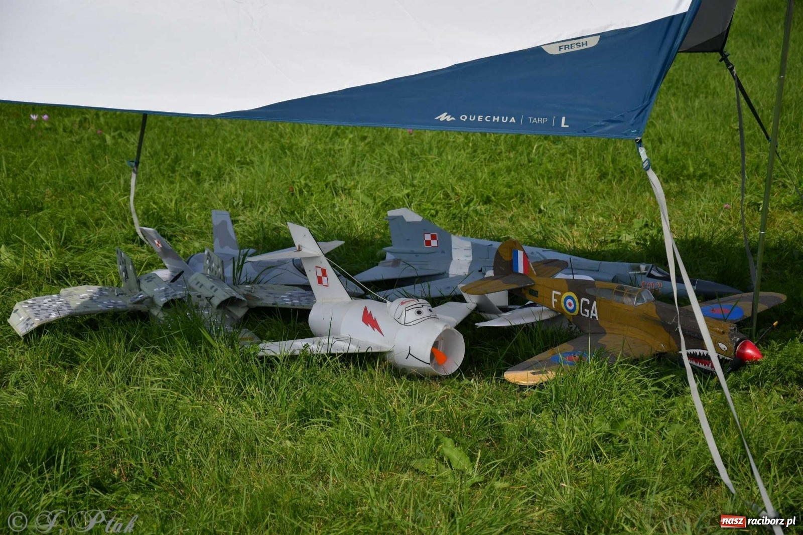 Zdjęcie w galerii na portalu naszraciborz.pl: Raciborskie air show przyciągnęło tłumy  wiadomości z regionu