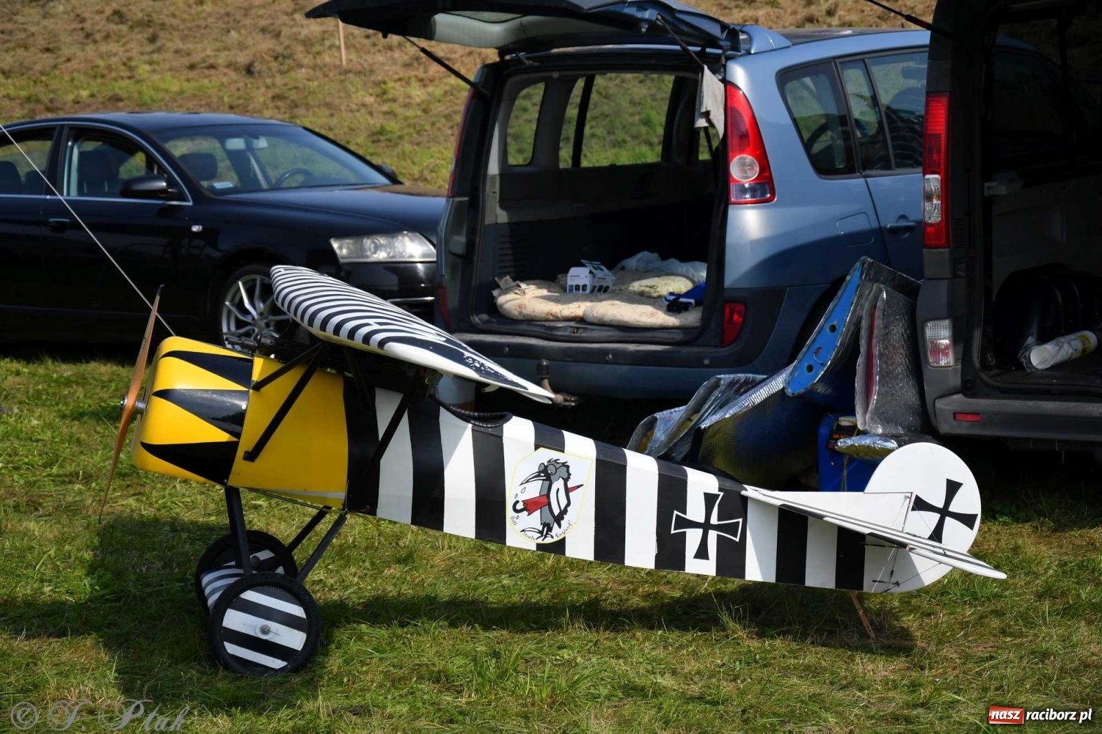 Zdjęcie w galerii na portalu naszraciborz.pl: Raciborskie air show przyciągnęło tłumy  wiadomości z regionu