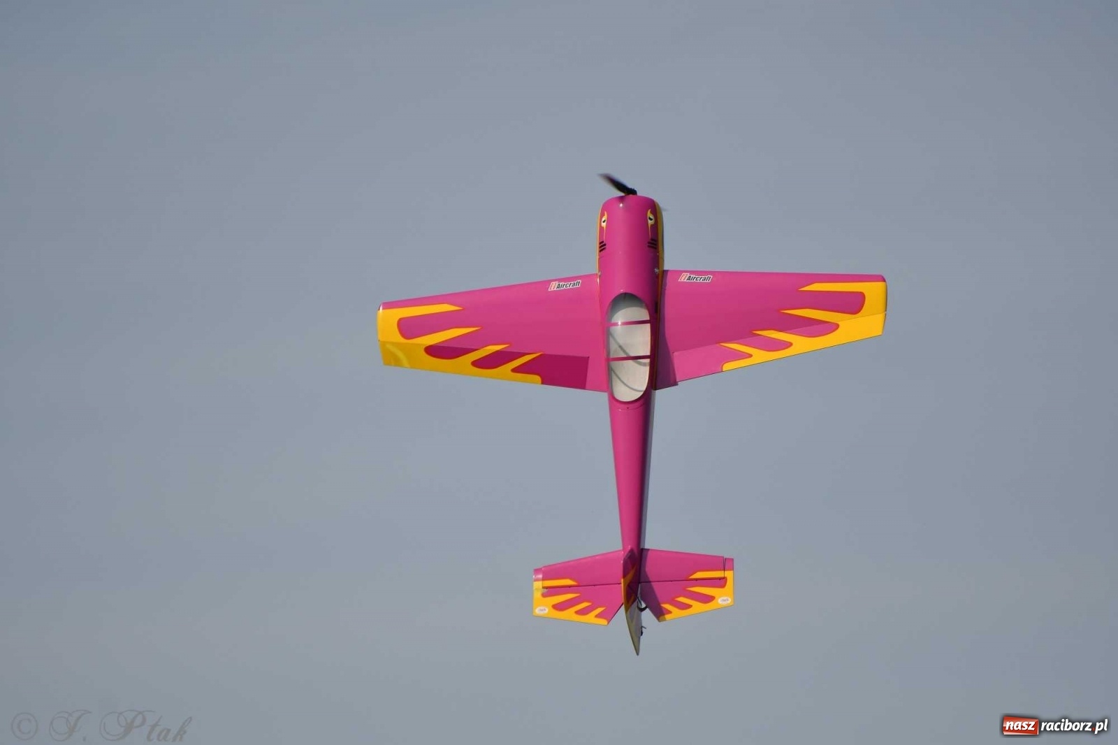 Zdjęcie w galerii na portalu naszraciborz.pl: Raciborskie air show przyciągnęło tłumy  wiadomości z regionu