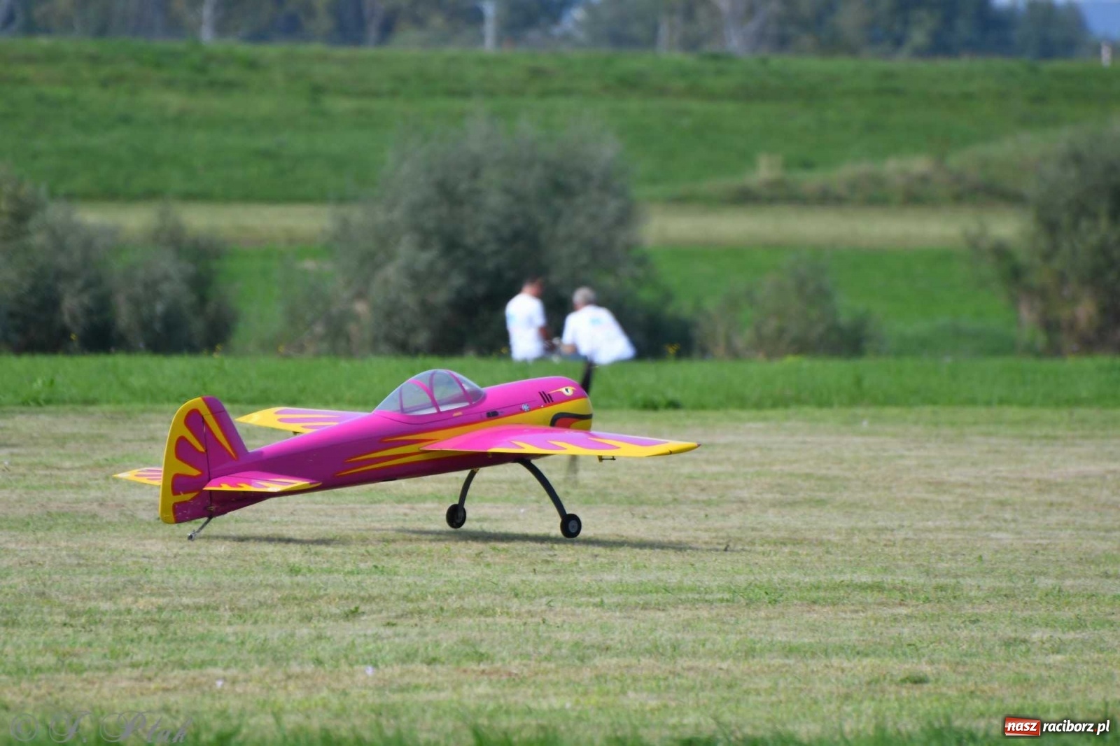 Zdjęcie w galerii na portalu naszraciborz.pl: Raciborskie air show przyciągnęło tłumy  wiadomości z regionu