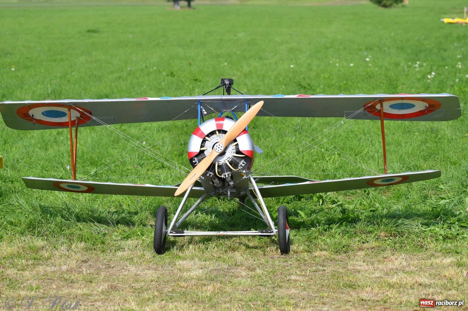 Zdjęcie w galerii na portalu naszraciborz.pl: Raciborskie air show przyciągnęło tłumy  wiadomości z regionu