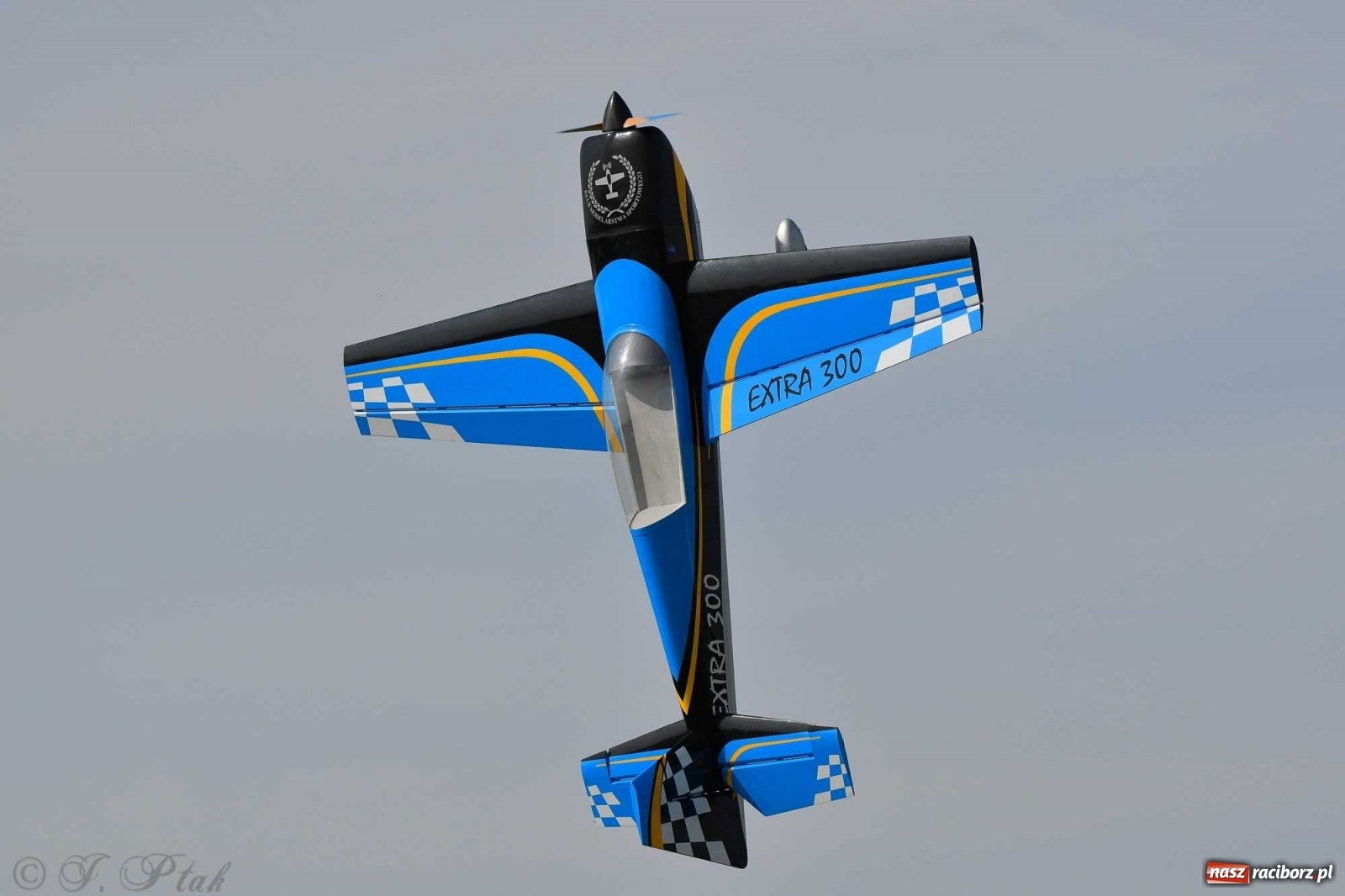 Zdjęcie w galerii na portalu naszraciborz.pl: Raciborskie air show przyciągnęło tłumy  wiadomości z regionu