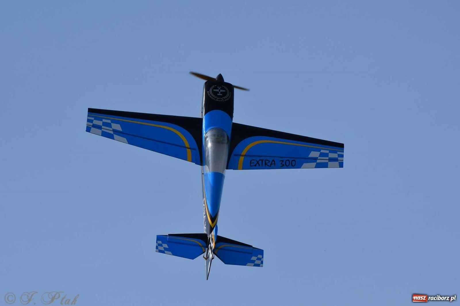 Zdjęcie w galerii na portalu naszraciborz.pl: Raciborskie air show przyciągnęło tłumy  wiadomości z regionu