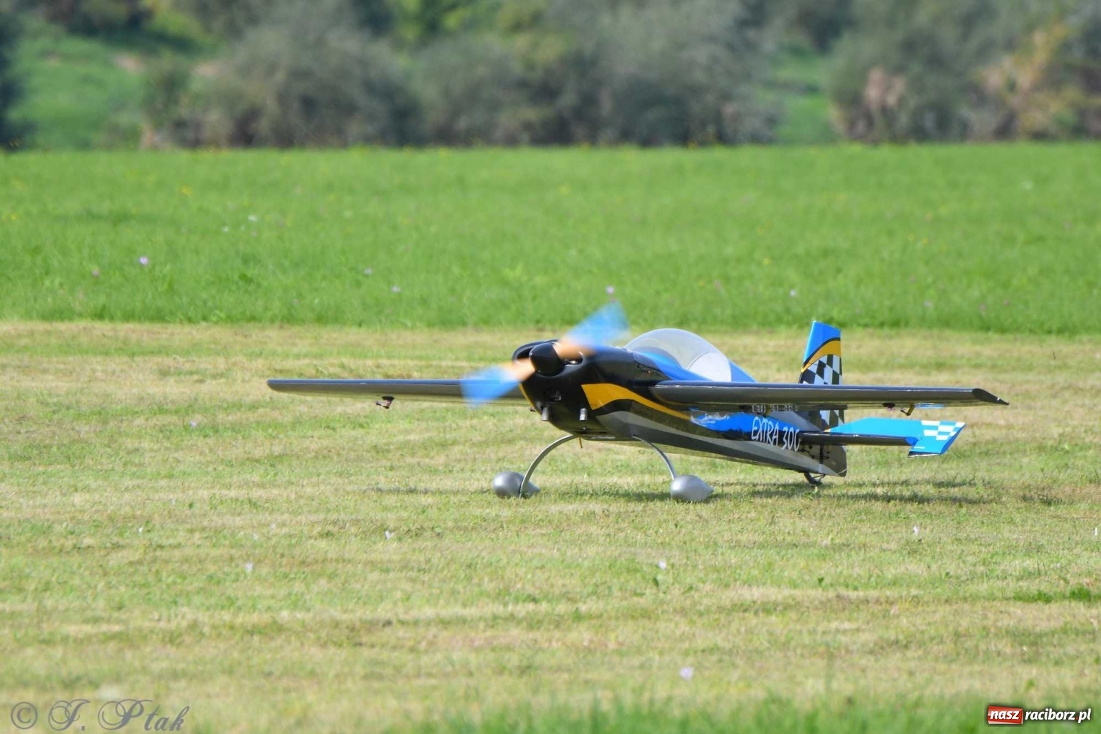 Zdjęcie w galerii na portalu naszraciborz.pl: Raciborskie air show przyciągnęło tłumy  wiadomości z regionu