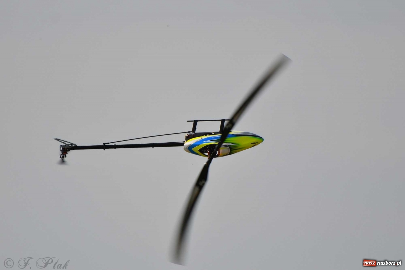 Zdjęcie w galerii na portalu naszraciborz.pl: Raciborskie air show przyciągnęło tłumy  wiadomości z regionu