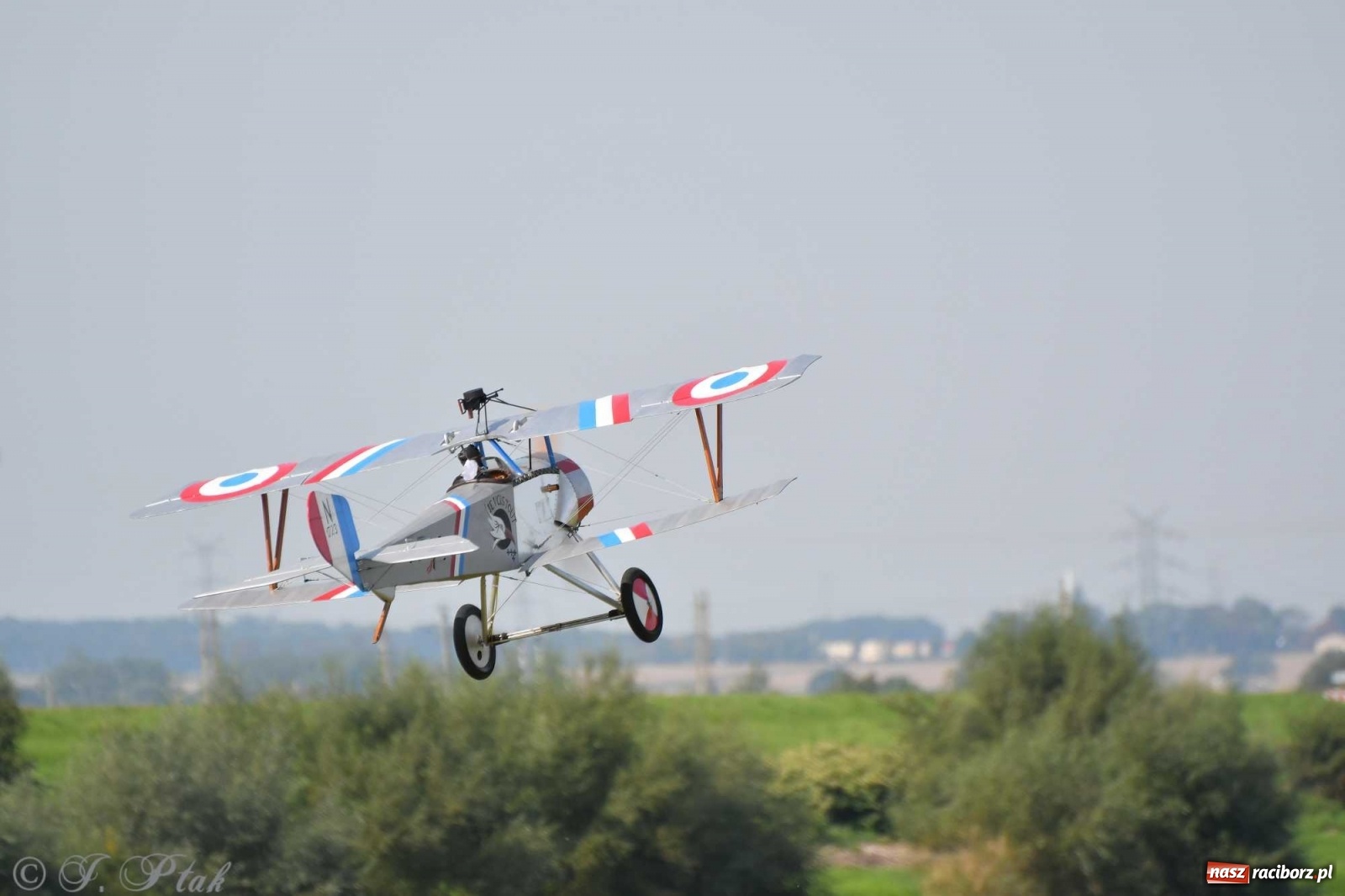 Zdjęcie w galerii na portalu naszraciborz.pl: Raciborskie air show przyciągnęło tłumy  wiadomości z regionu