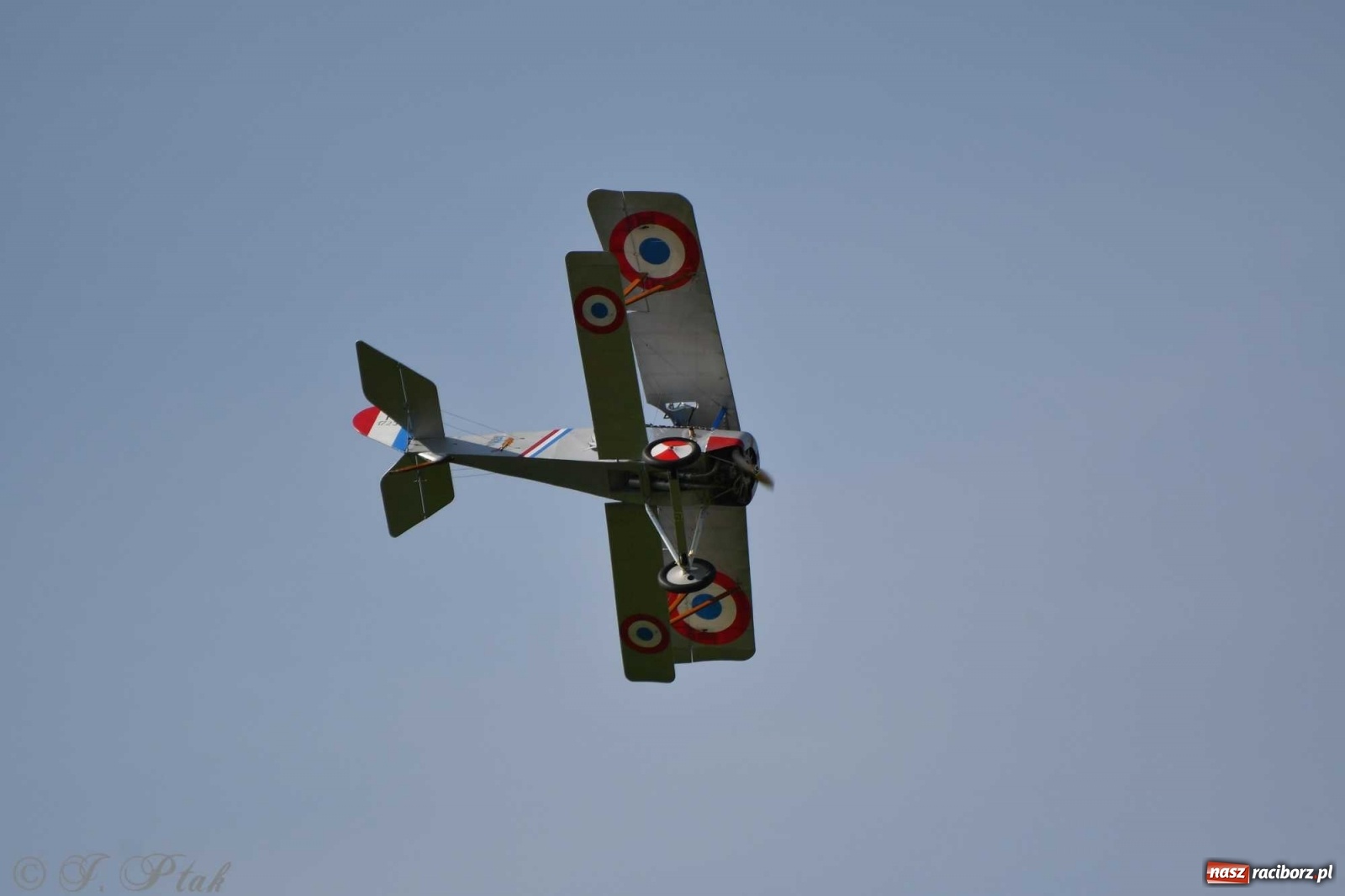 Zdjęcie w galerii na portalu naszraciborz.pl: Raciborskie air show przyciągnęło tłumy  wiadomości z regionu