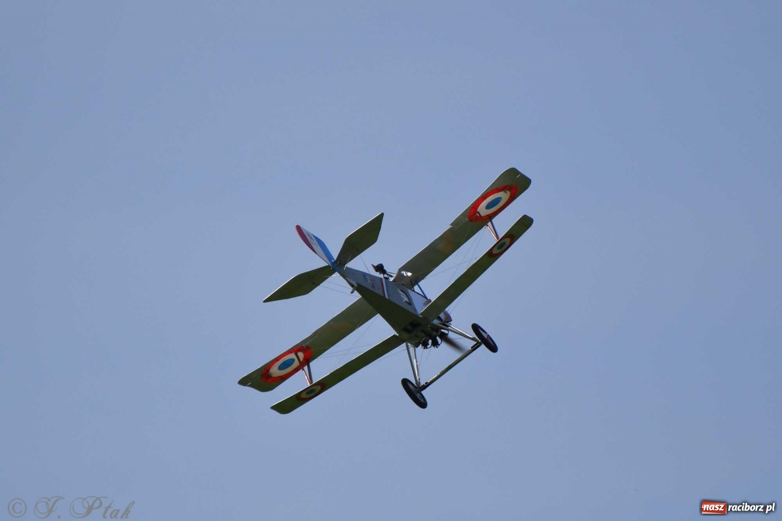 Zdjęcie w galerii na portalu naszraciborz.pl: Raciborskie air show przyciągnęło tłumy  wiadomości z regionu