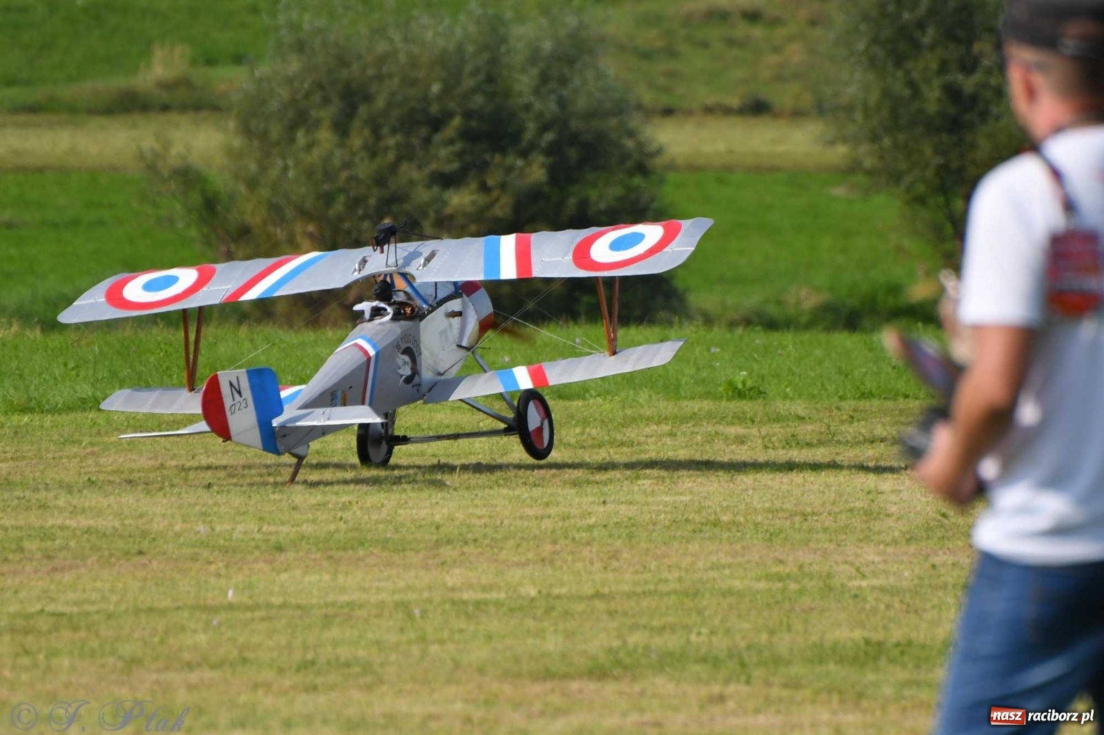 Zdjęcie w galerii na portalu naszraciborz.pl: Raciborskie air show przyciągnęło tłumy  wiadomości z regionu