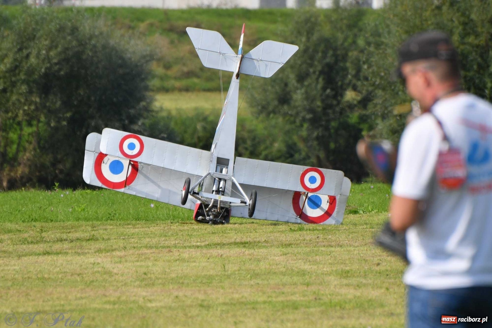 Zdjęcie w galerii na portalu naszraciborz.pl: Raciborskie air show przyciągnęło tłumy  wiadomości z regionu