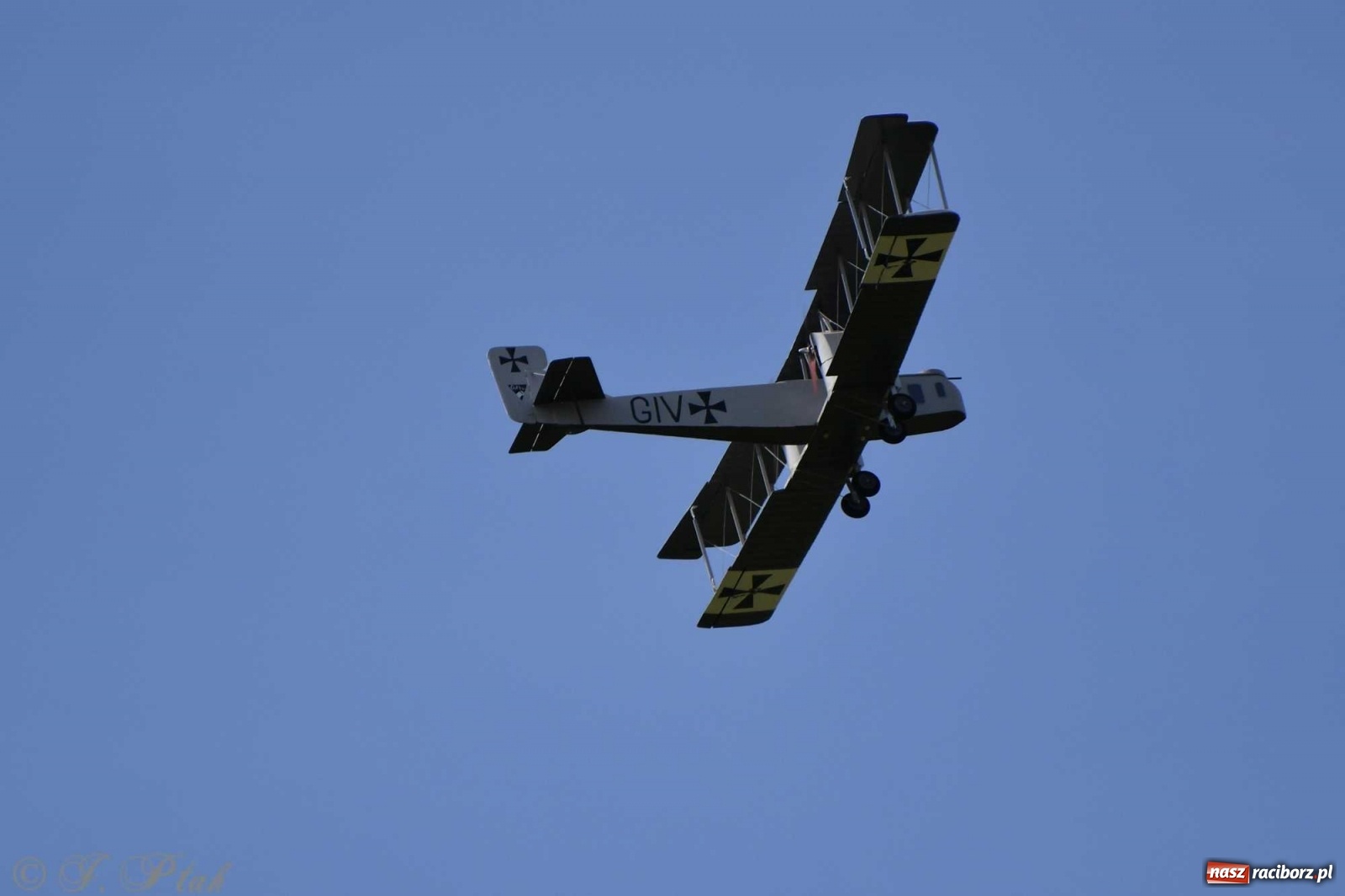 Zdjęcie w galerii na portalu naszraciborz.pl: Raciborskie air show przyciągnęło tłumy  wiadomości z regionu