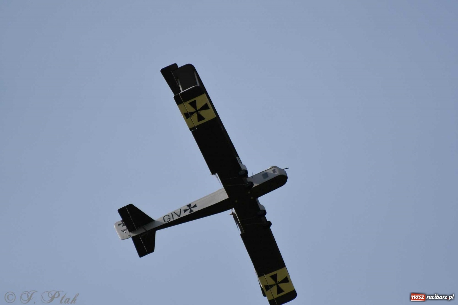 Zdjęcie w galerii na portalu naszraciborz.pl: Raciborskie air show przyciągnęło tłumy  wiadomości z regionu