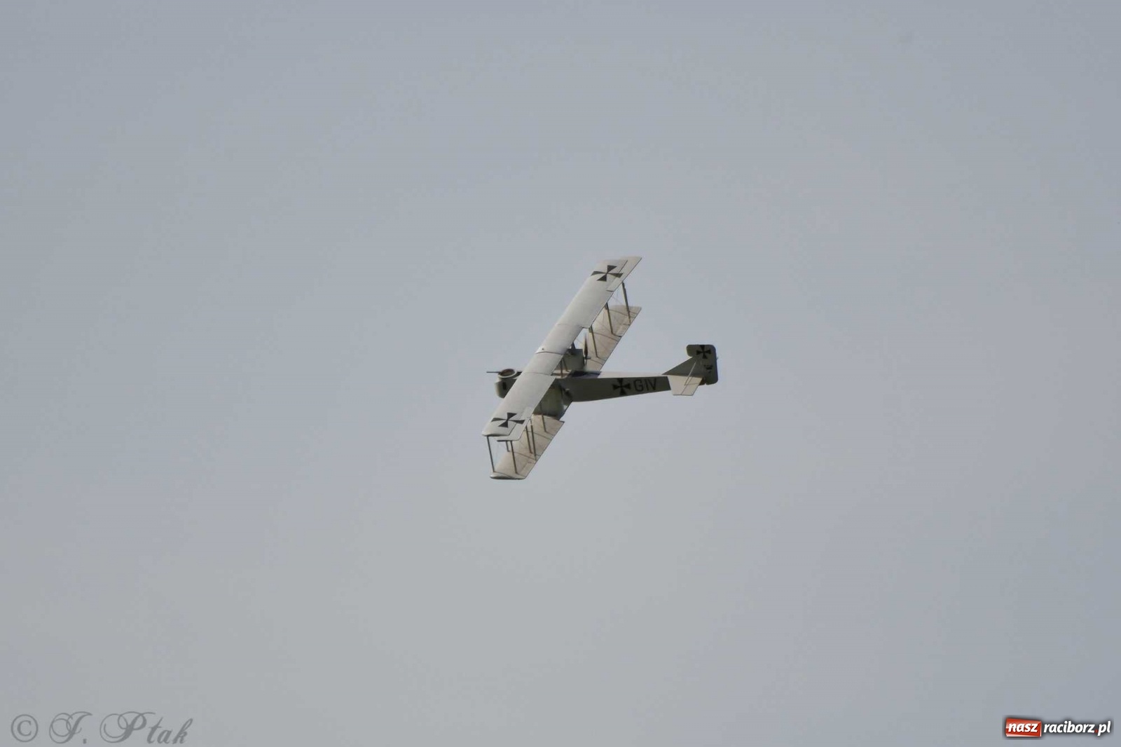 Zdjęcie w galerii na portalu naszraciborz.pl: Raciborskie air show przyciągnęło tłumy  wiadomości z regionu