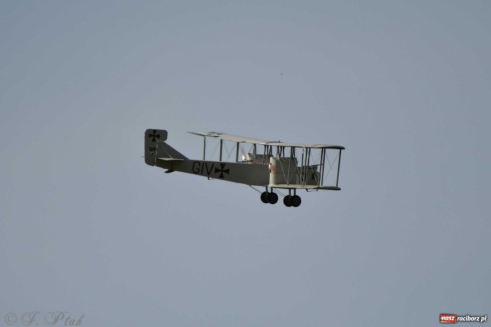Zdjęcie w galerii na portalu naszraciborz.pl: Raciborskie air show przyciągnęło tłumy  wiadomości z regionu