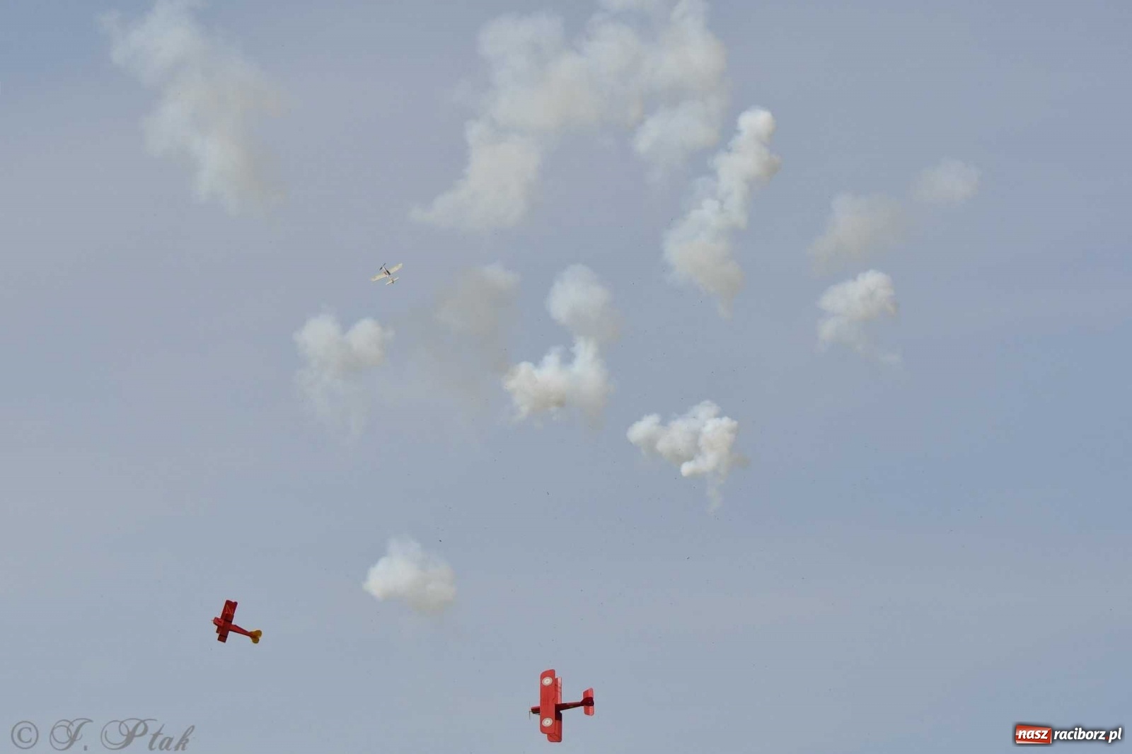 Zdjęcie w galerii na portalu naszraciborz.pl: Raciborskie air show przyciągnęło tłumy  wiadomości z regionu