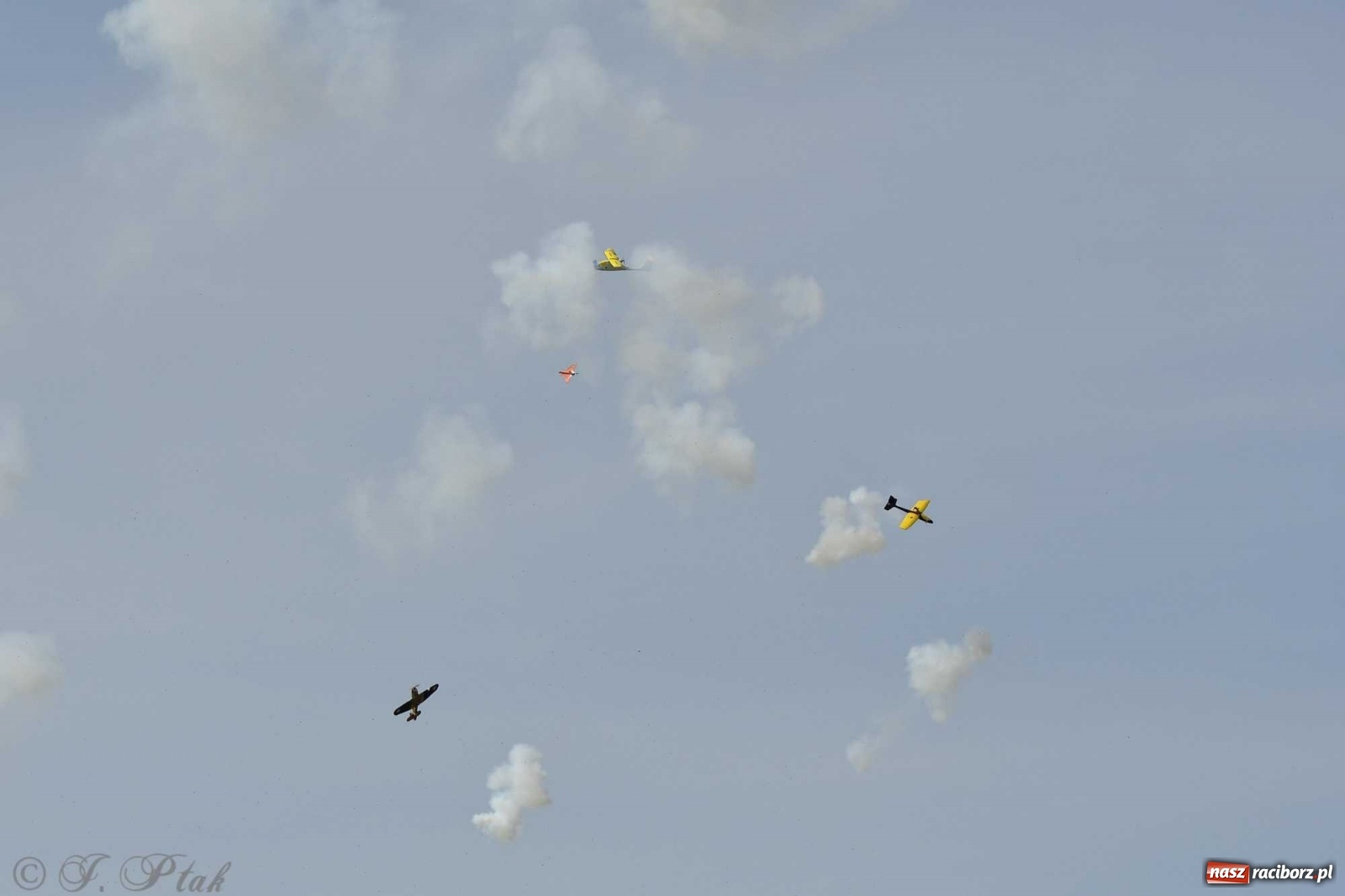 Zdjęcie w galerii na portalu naszraciborz.pl: Raciborskie air show przyciągnęło tłumy  wiadomości z regionu