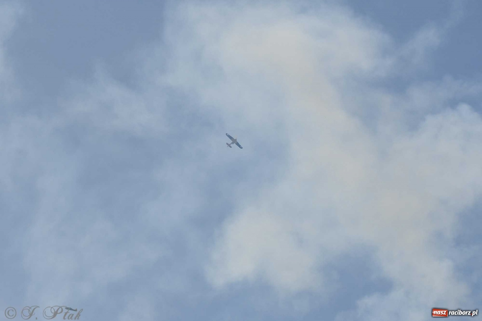 Zdjęcie w galerii na portalu naszraciborz.pl: Raciborskie air show przyciągnęło tłumy  wiadomości z regionu