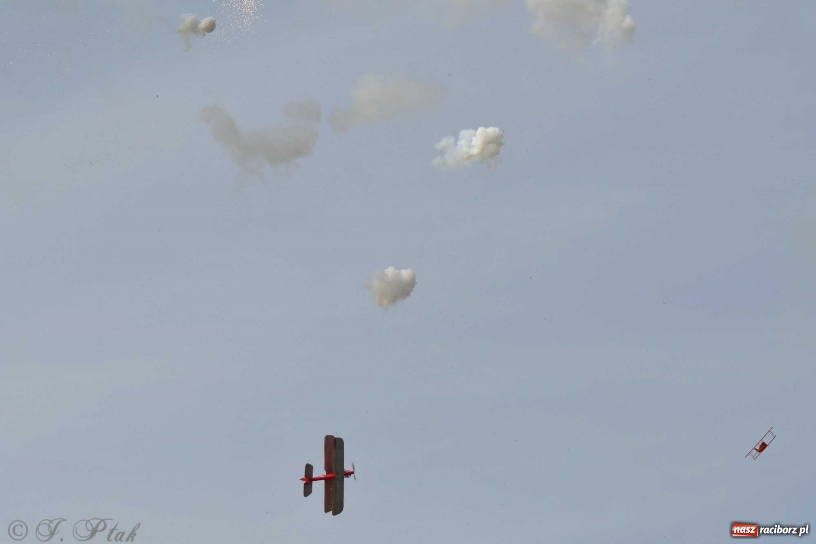 Zdjęcie w galerii na portalu naszraciborz.pl: Raciborskie air show przyciągnęło tłumy  wiadomości z regionu