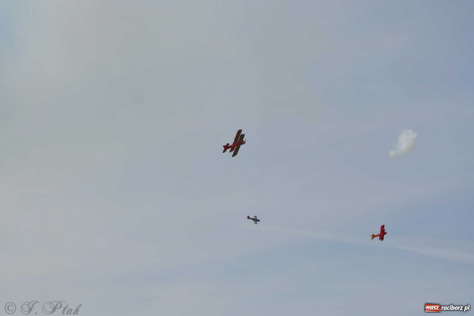 Zdjęcie w galerii na portalu naszraciborz.pl: Raciborskie air show przyciągnęło tłumy  wiadomości z regionu